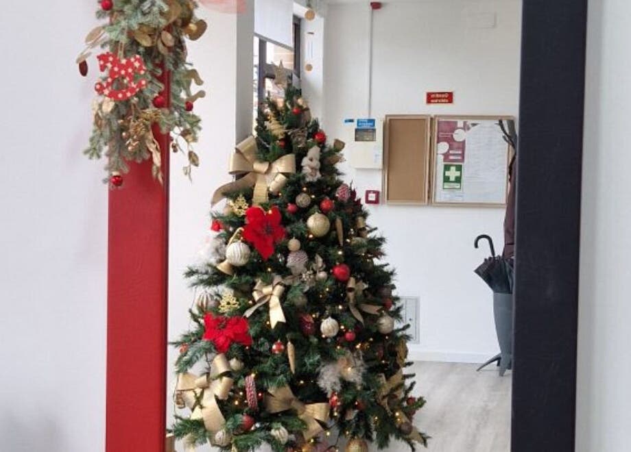 Decoração natalina no Clara Santos Cabeleireiro em Vagos, Aveiro, PT. Árvore com enfeites vermelhos e dourados.