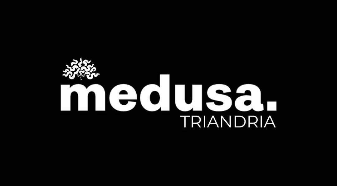 Λογότυπο MEDUSA BARBER TRIANDRIA, κομψό σχέδιο σε μαύρο φόντο, Τριανδρία, GR.