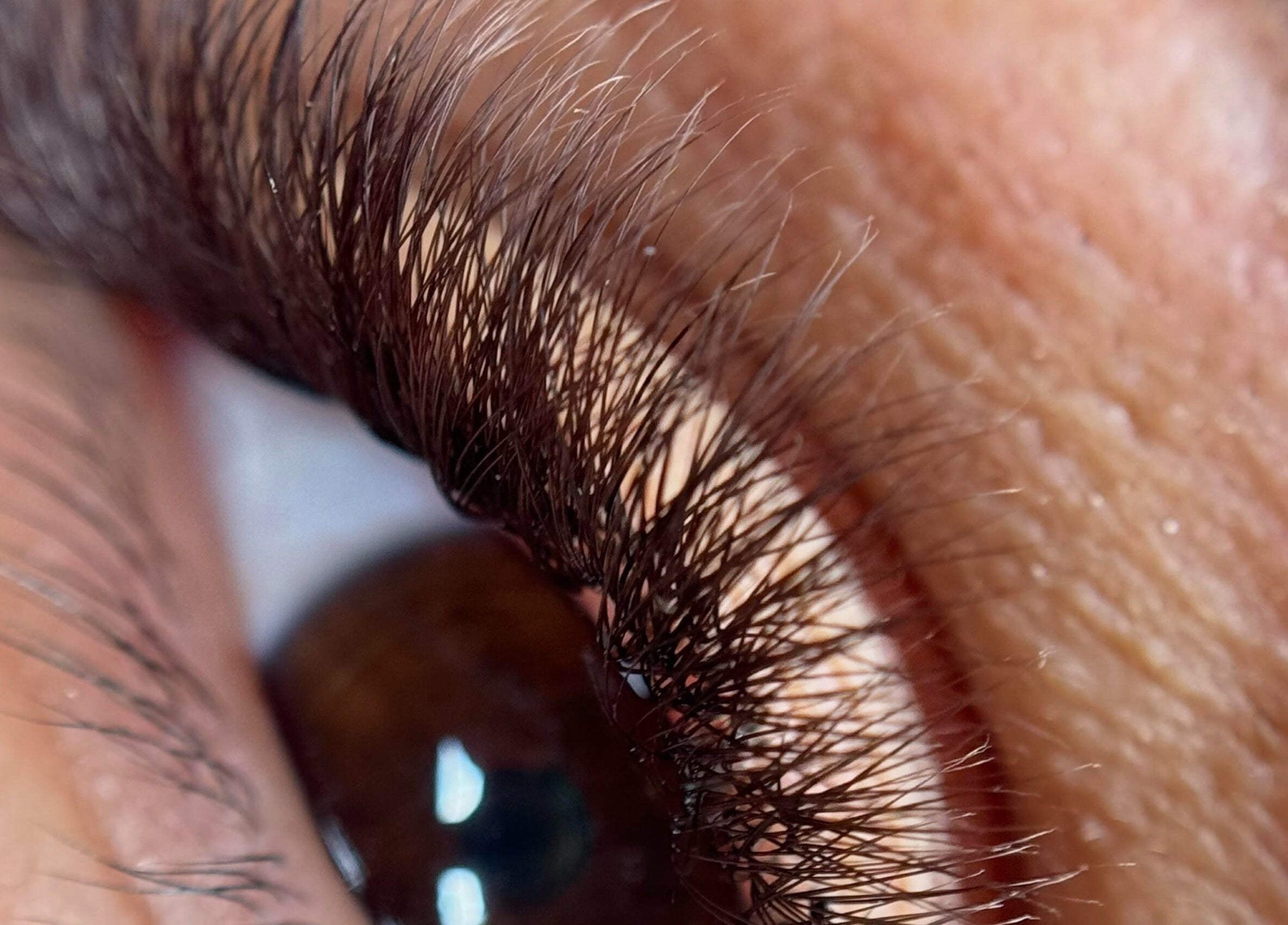 Close-up of a lush eyelash from a treatment at Dinivé Beauty, London, England, GB.