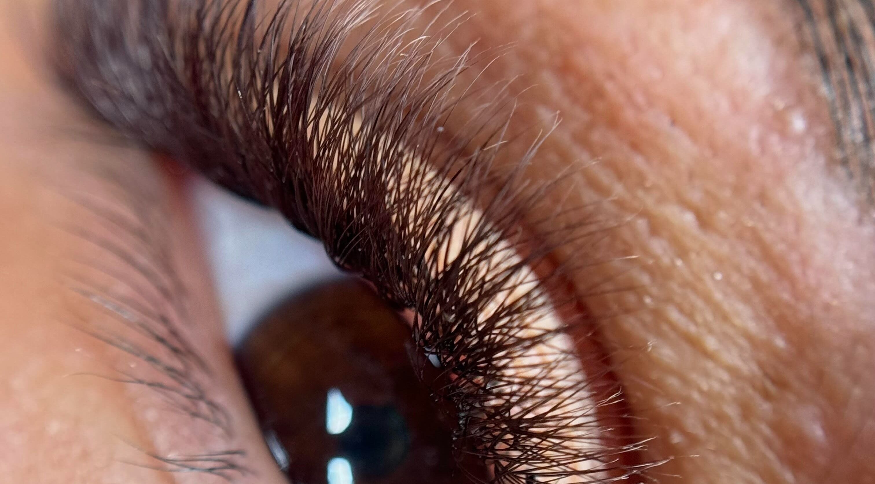Close-up of a lush eyelash from a treatment at Dinivé Beauty, London, England, GB.