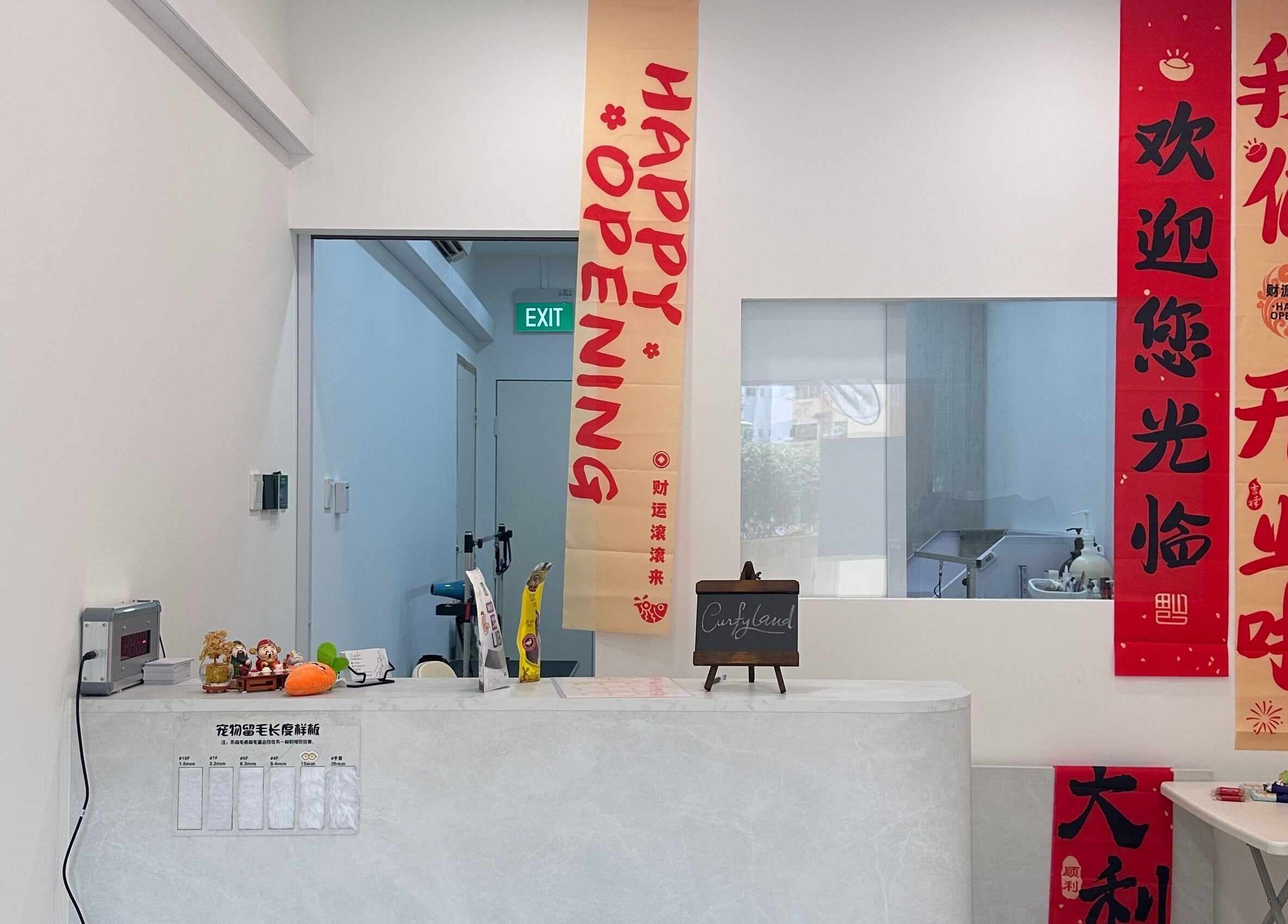 Curfyland Pet Grooming，新加坡店内墙壁挂有开业装饰。