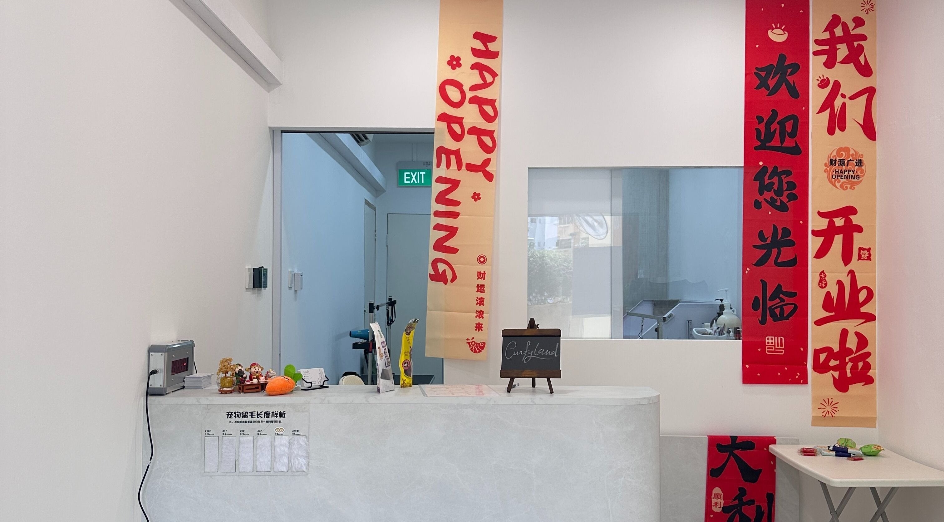 Curfyland Pet Grooming，新加坡店内墙壁挂有开业装饰。