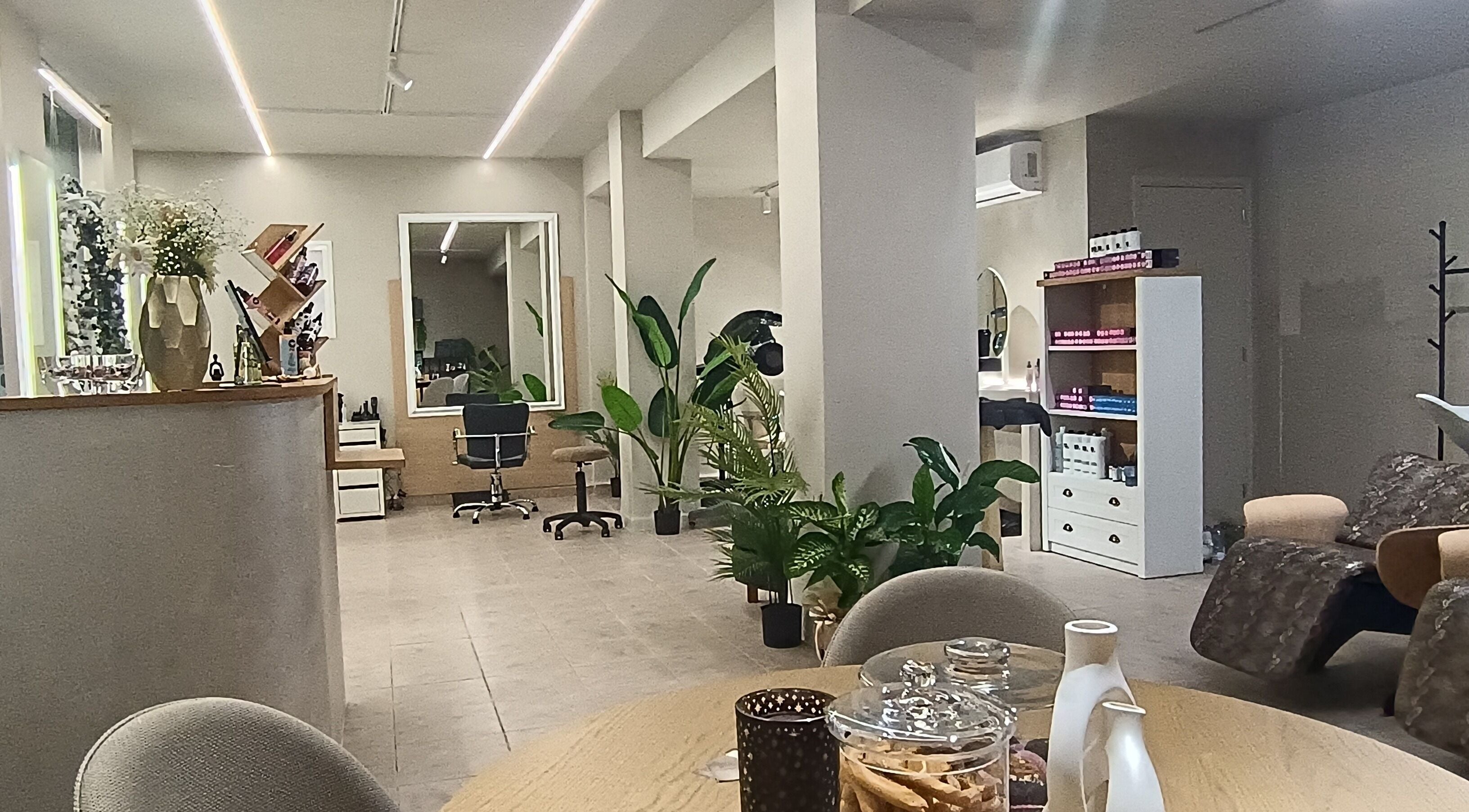 Εσωτερικό σαλονιού 'She Beautiful Hair Only', Βόλος, Ελλάδα, GR με σύγχρονη διακόσμηση και φυτά.