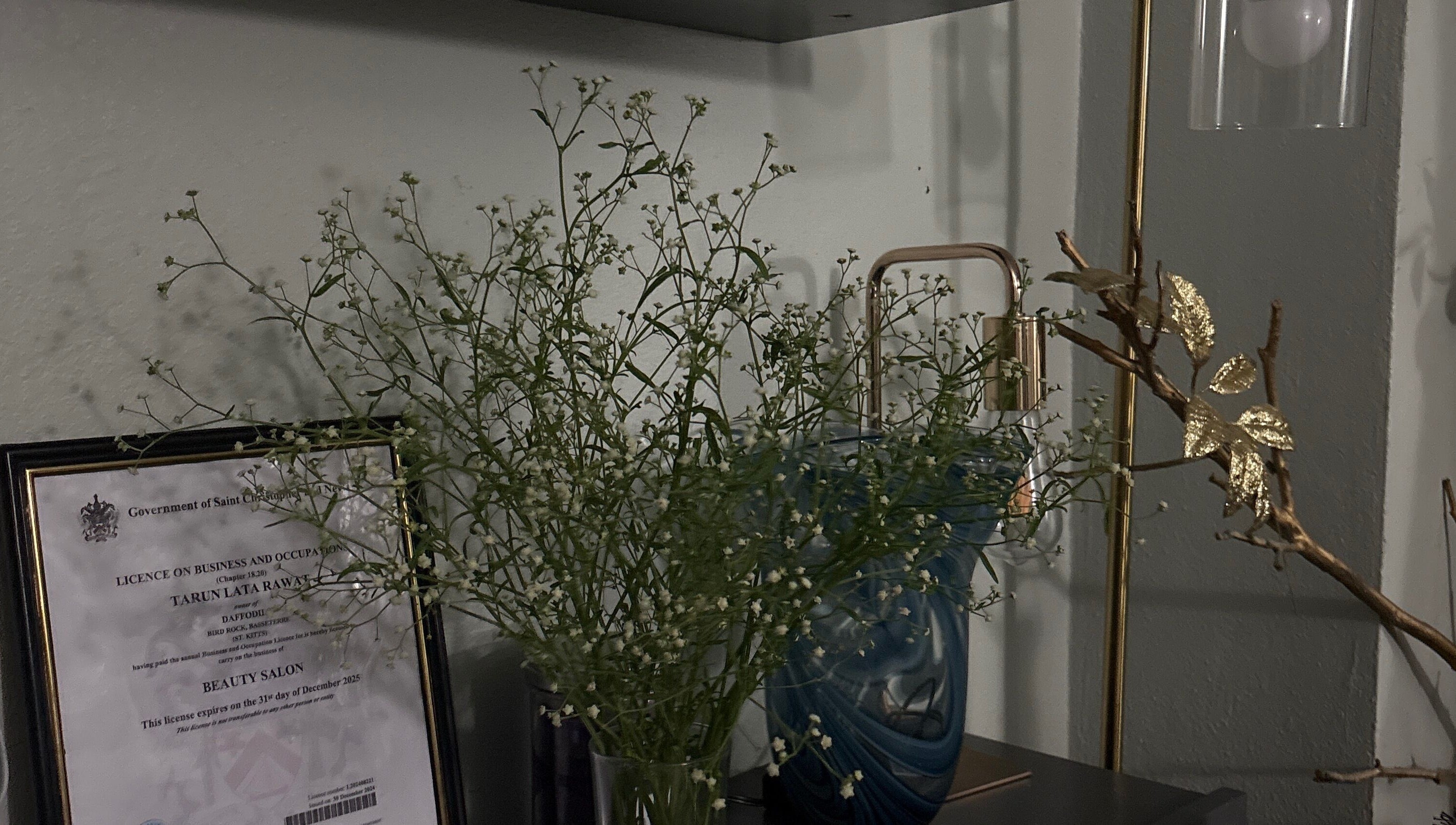 Aesthetic decor at daffodils beauty salon & spa, Basseterre, Saint George Basseterre Parish, KN.