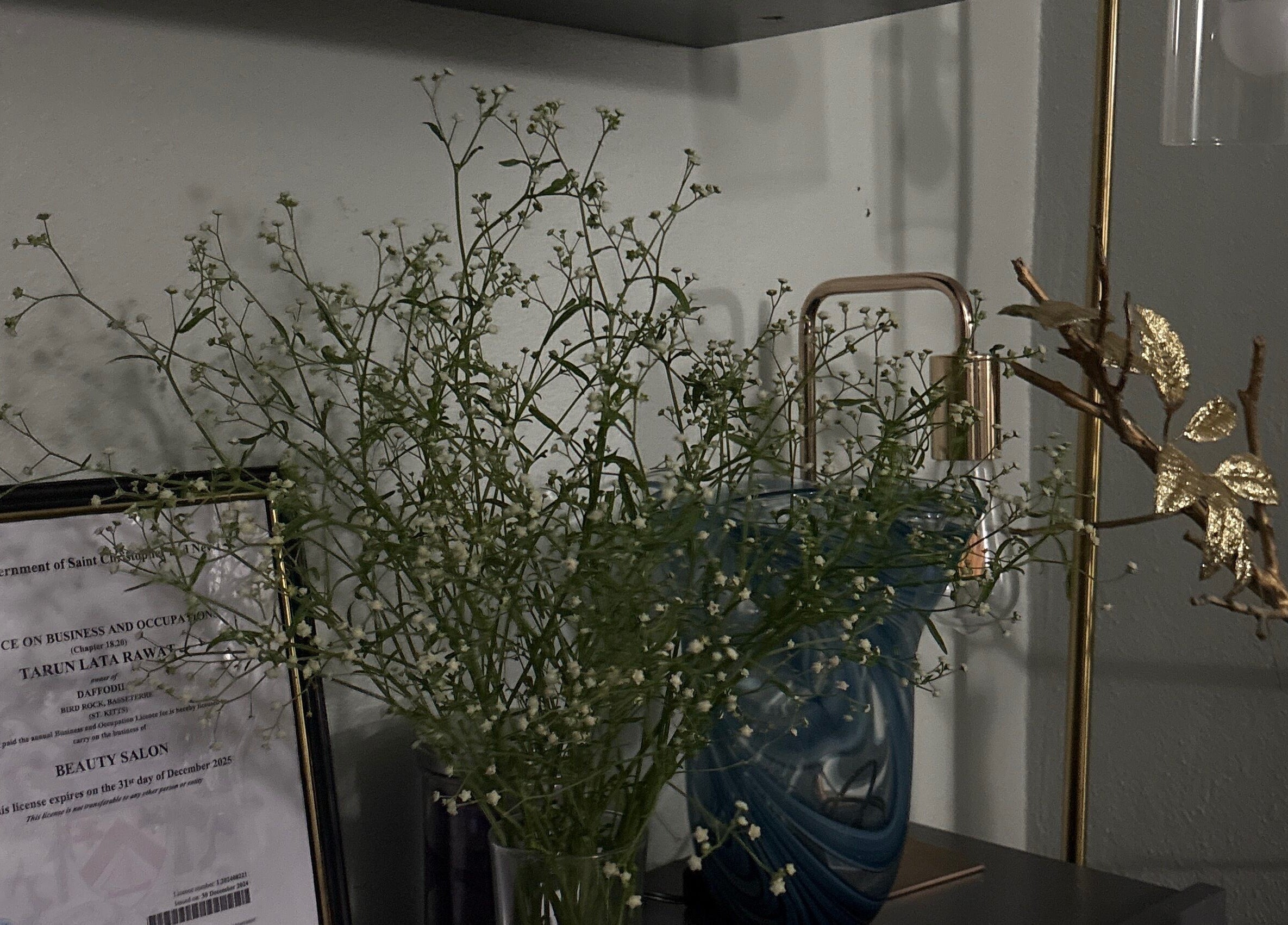 Aesthetic decor at daffodils beauty salon & spa, Basseterre, Saint George Basseterre Parish, KN.