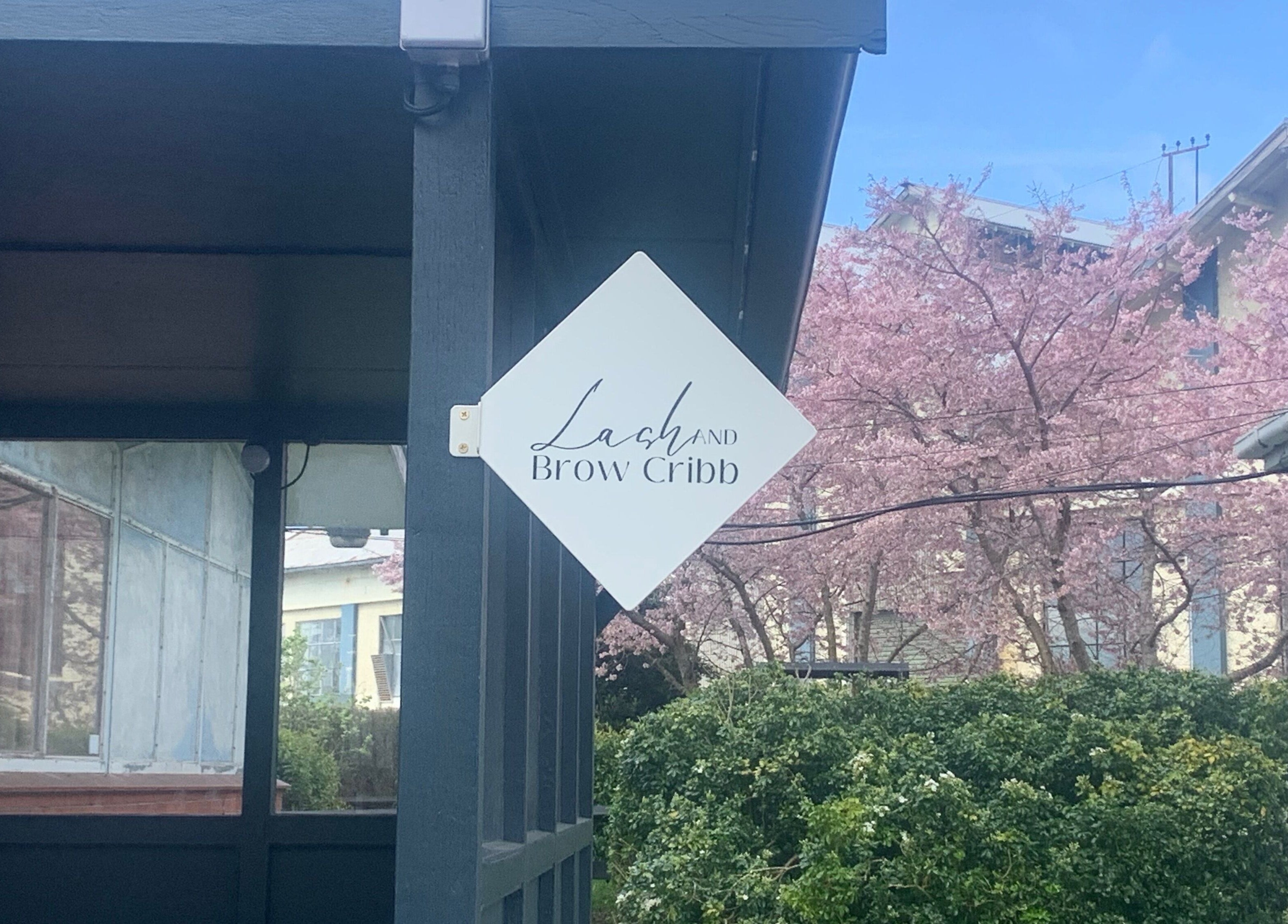 Lash and Brow Cribb sign amid tranquil cherry blossoms in Tamahere, Waikato, NZ.