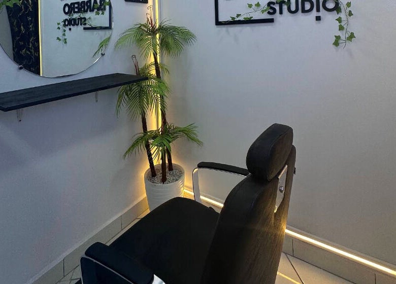 Intérieur moderne d'OTHMANE BARBERO STUDIO à Tamesna, Rabat-salé-kénitra, MA avec fauteuil et plantes.