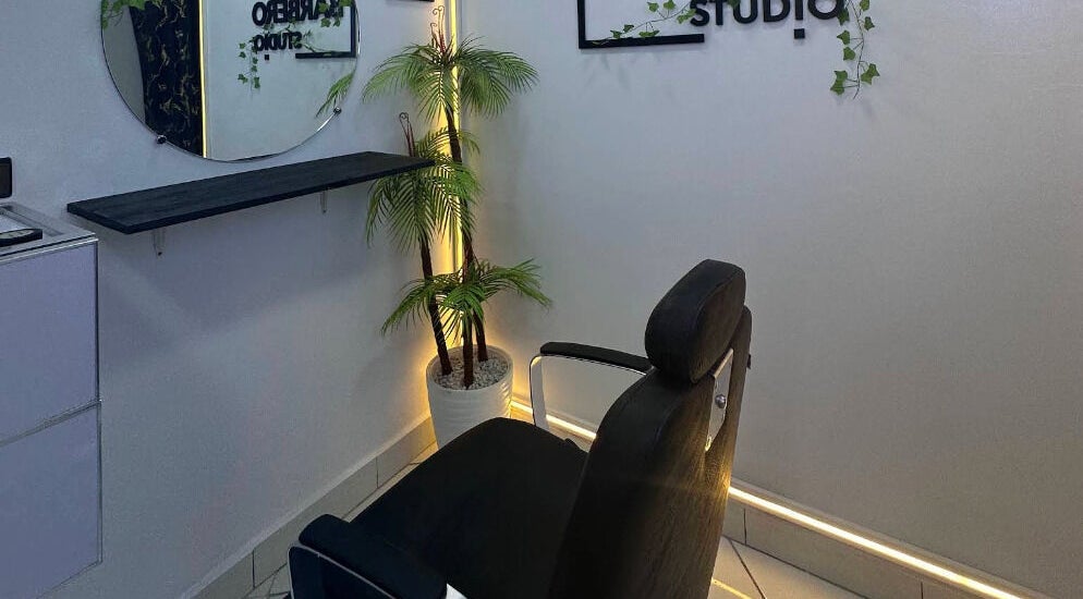 Intérieur moderne d'OTHMANE BARBERO STUDIO à Tamesna, Rabat-salé-kénitra, MA avec fauteuil et plantes.