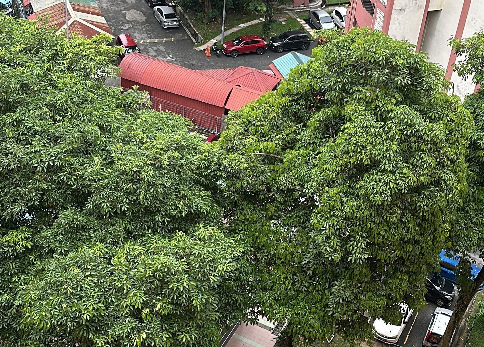 Arial view of vibrant green trees near aleesabeauty Hairstyle, Kuala Lumpur, Wilayah Persekutuan Kuala Lumpur, MY.
