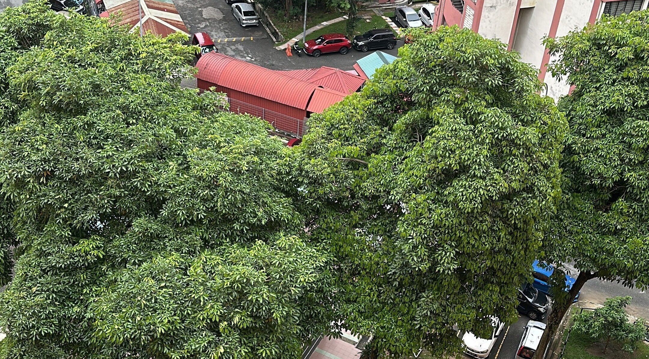 Arial view of vibrant green trees near aleesabeauty Hairstyle, Kuala Lumpur, Wilayah Persekutuan Kuala Lumpur, MY.