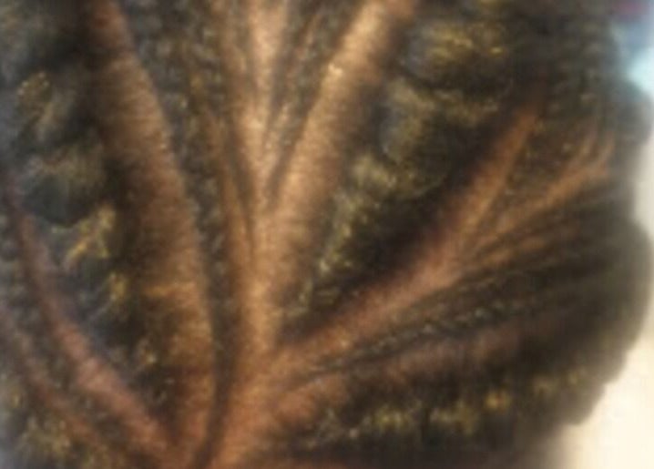 Close-up of braided hairstyle at Priceless Hair and Beauty, Slough, England, GB. Showcase of unique hair design.