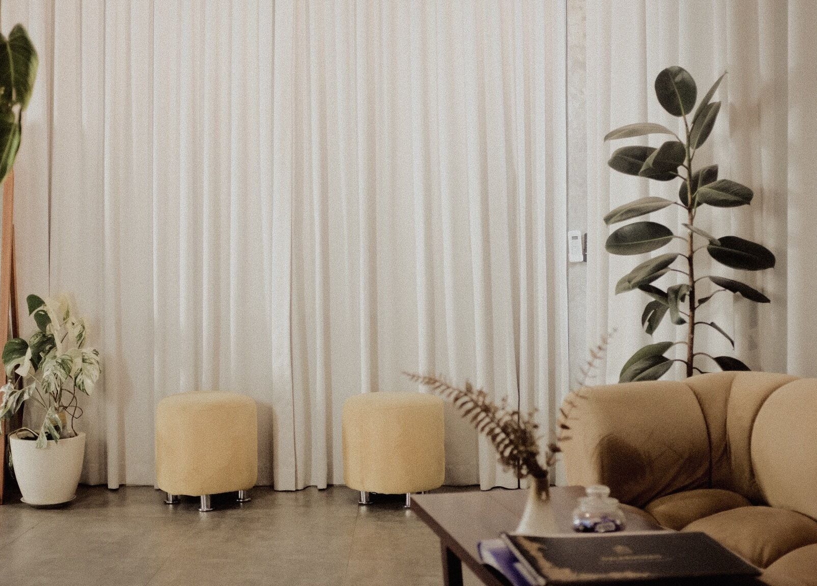 Modern lounge at Galerimikro Tattoo Studio, Bali, Bali, ID with plants, seating, and draped curtains.