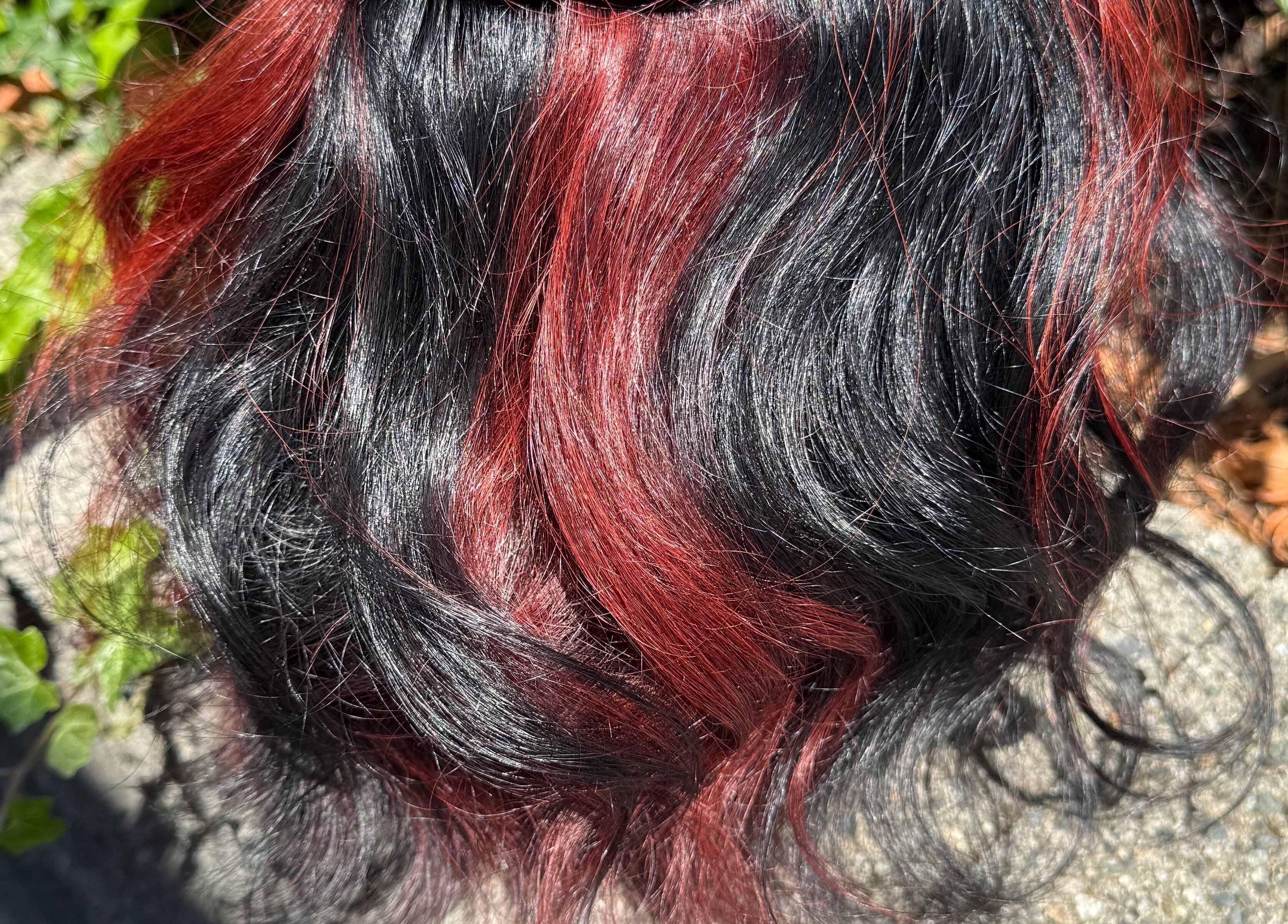 Vibrant red and black hair extensions showcased at Hair_By_Taej, Abbotsford, British Columbia, CA.
