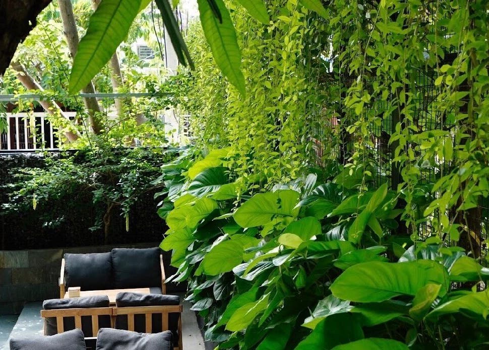Serene garden view at Recharged SPA, Đà Nẵng, featuring vibrant green plants and cozy seating.