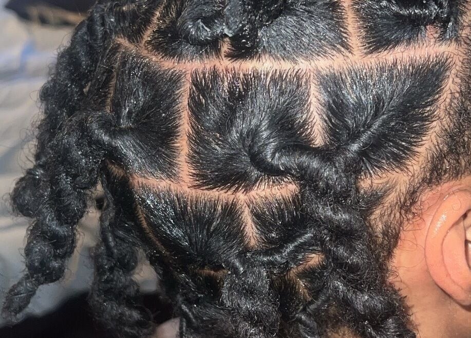 Intricate twist hairstyle at Loc’d in by Dej, Paradise, Nevada, US. Expertly styled for a refined look.