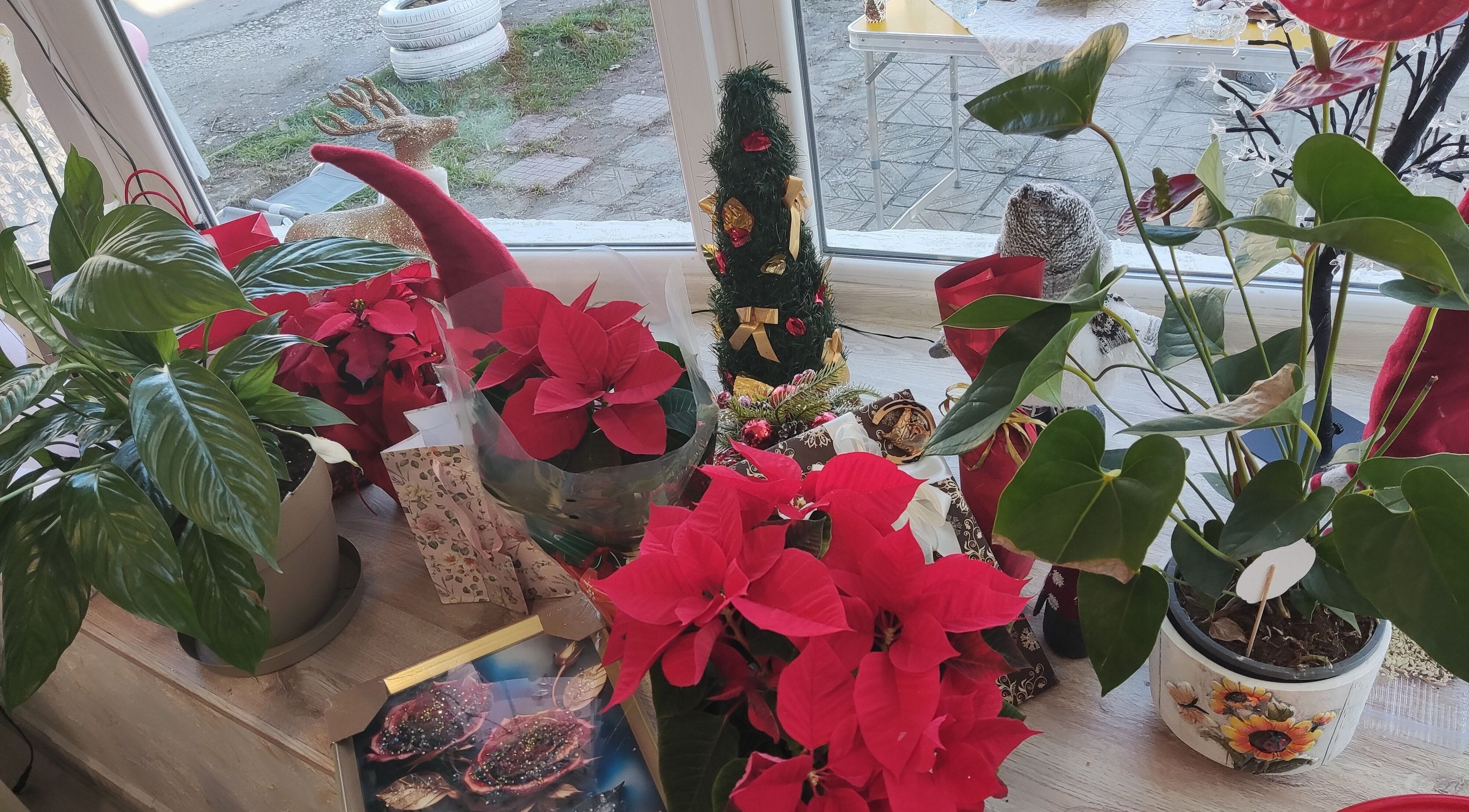 Празнична украса с растения в Ina Beauty Studio, Пловдив, Пловдив, BG.