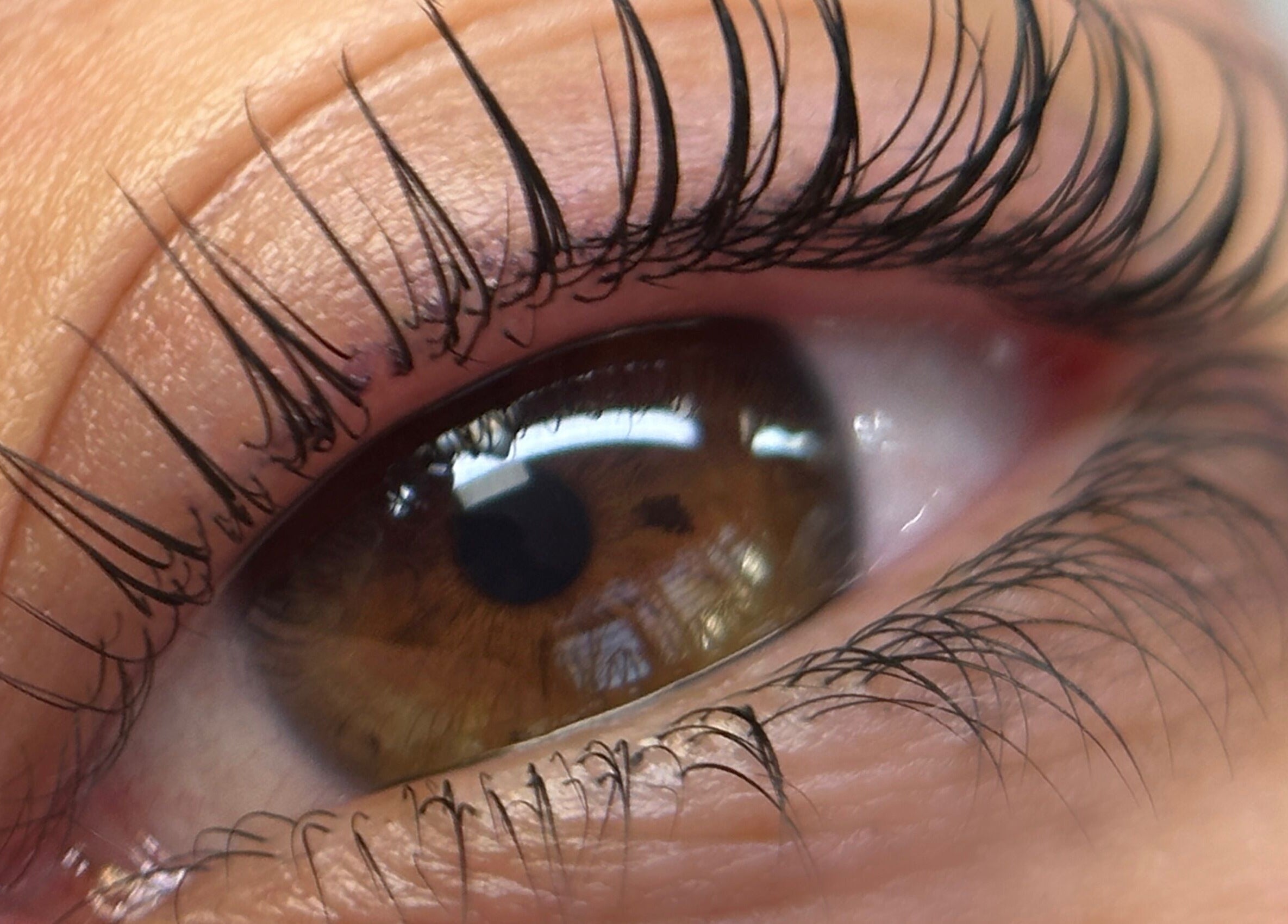 Cils magnifiquement rehaussés chez BROWSCULPT and Beauty, Mazères-de-neste, Occitanie, FR.