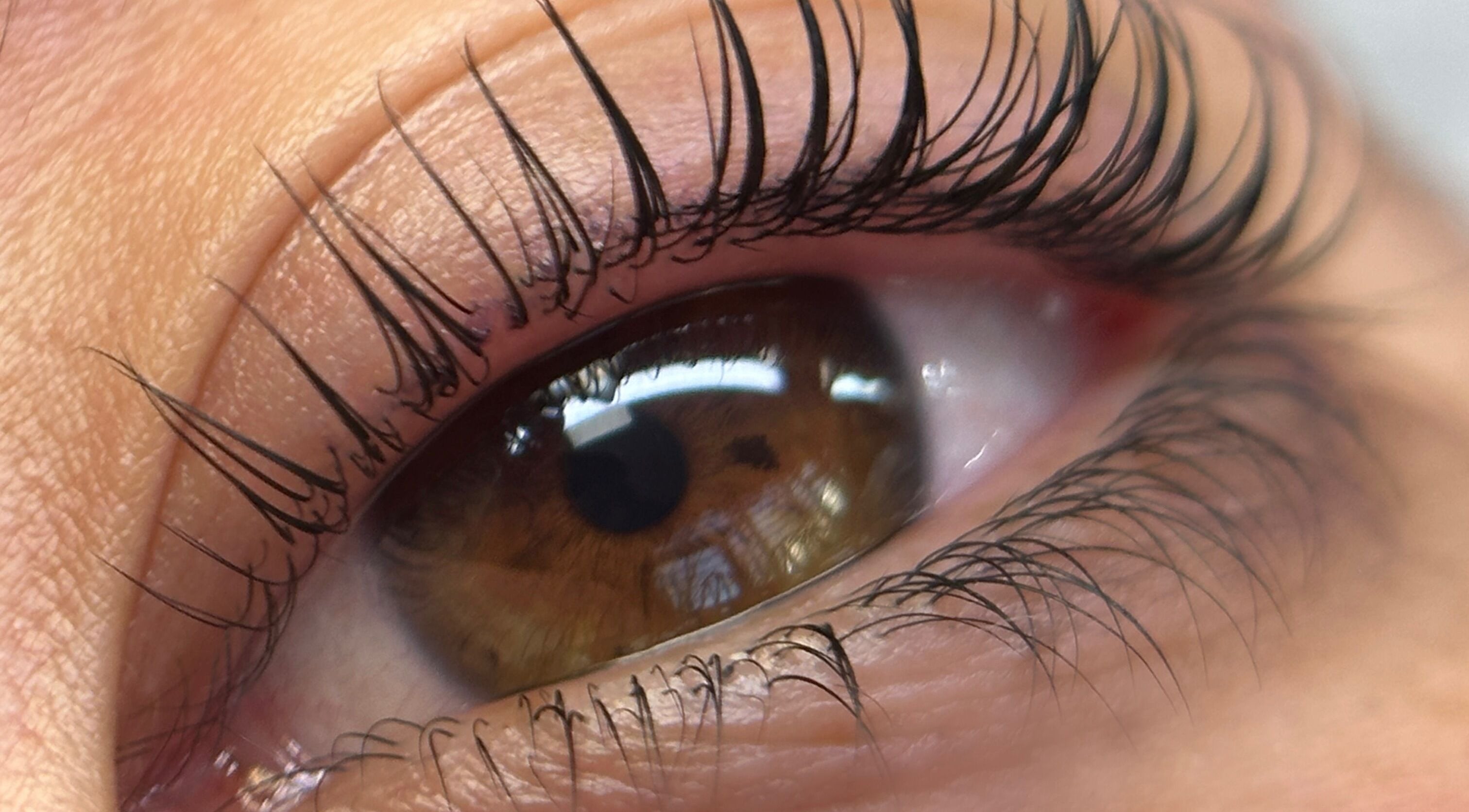 Cils magnifiquement rehaussés chez BROWSCULPT and Beauty, Mazères-de-neste, Occitanie, FR.