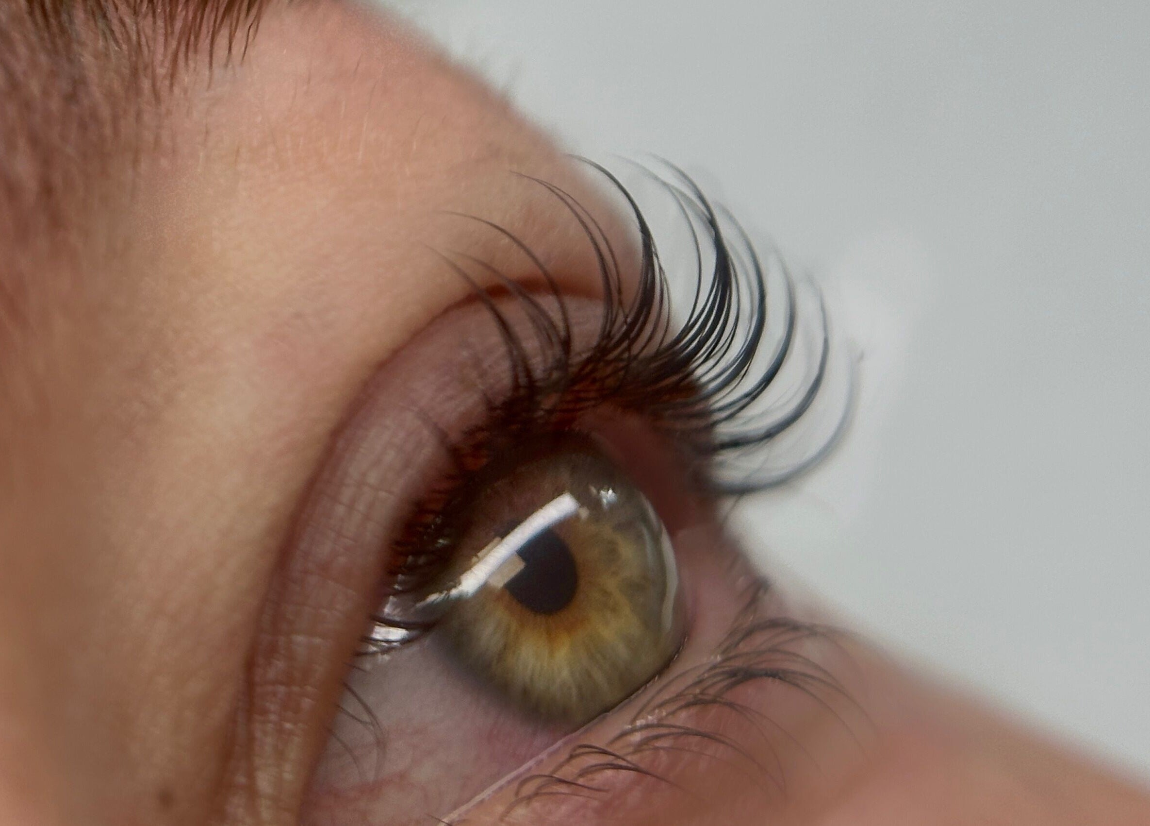 Cils magnifiquement liftés à BROWSCULPT and Beauty, Mazères-de-neste, Occitanie, FR