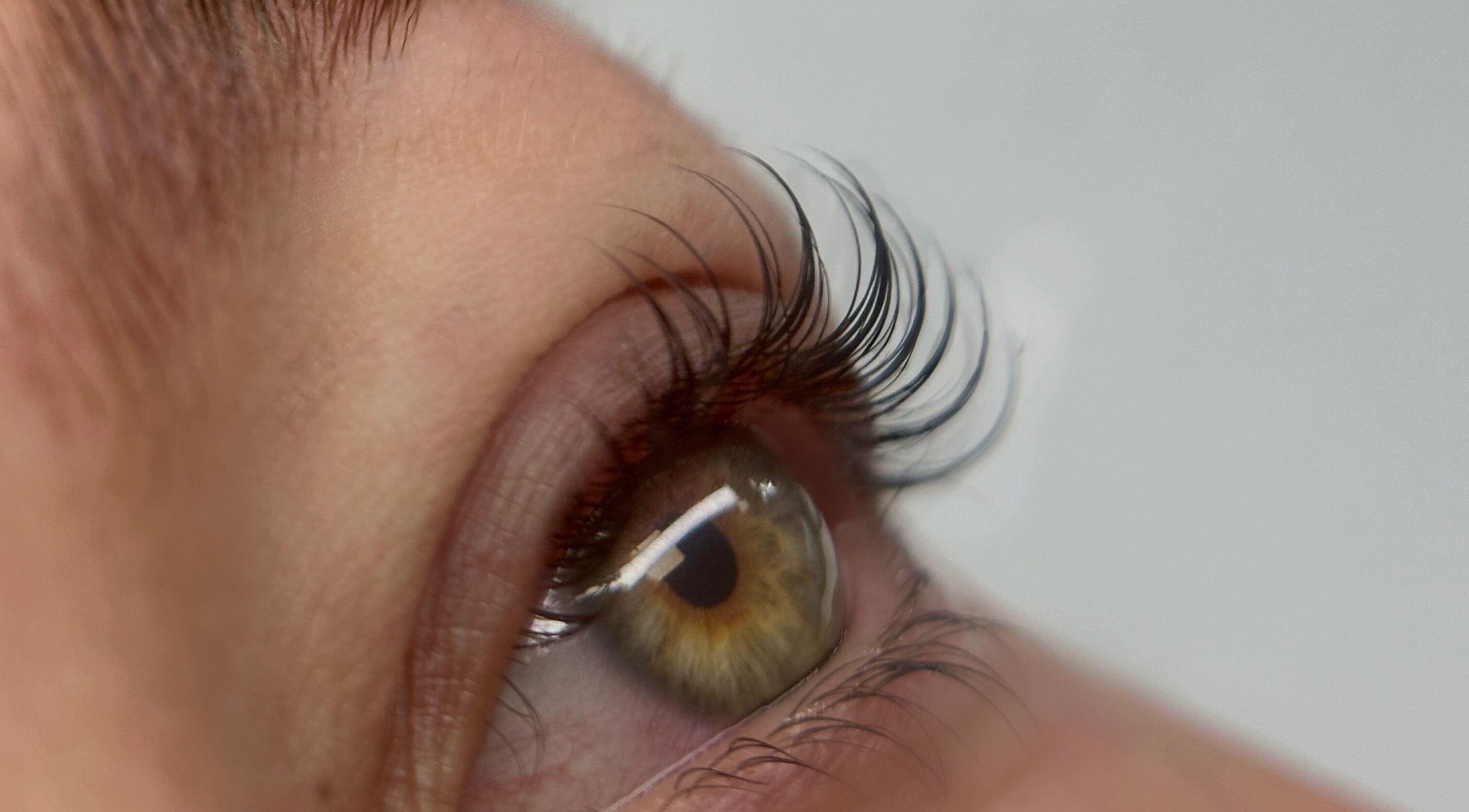 Cils magnifiquement liftés à BROWSCULPT and Beauty, Mazères-de-neste, Occitanie, FR