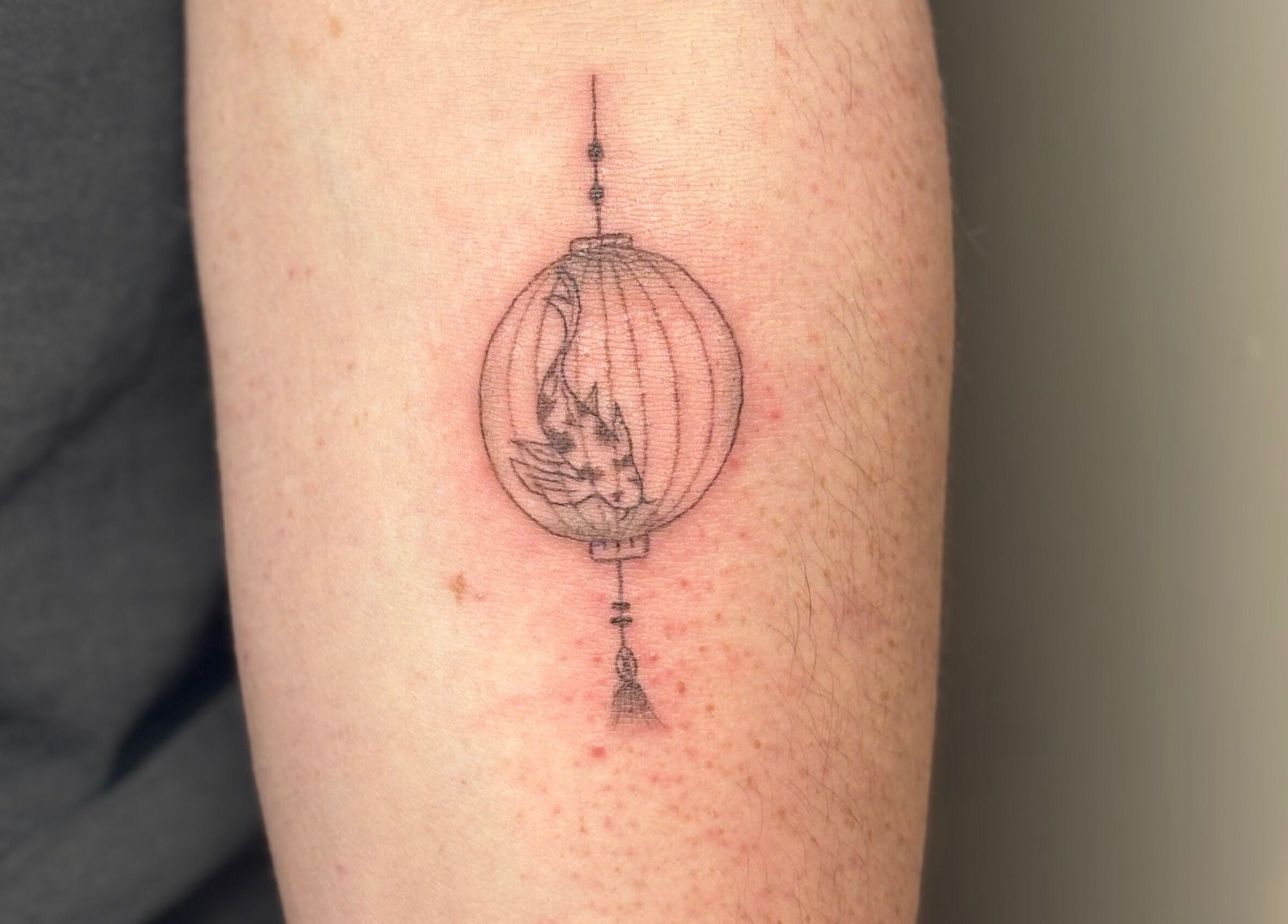Elegant tattoo with lantern and koi fish at Fine Little Things Studios, Bury St Edmund's, England, GB.