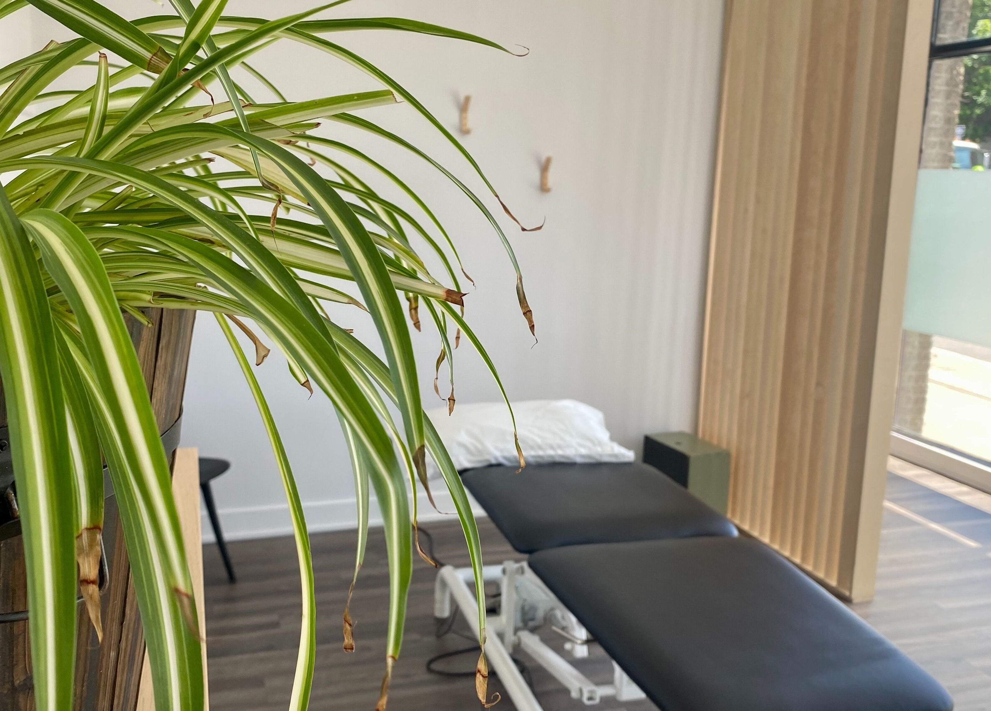 Salle de traitement lumineuse chez Physioactif Ahuntsic à Montréal, Québec, CA avec plante verte apaisante.