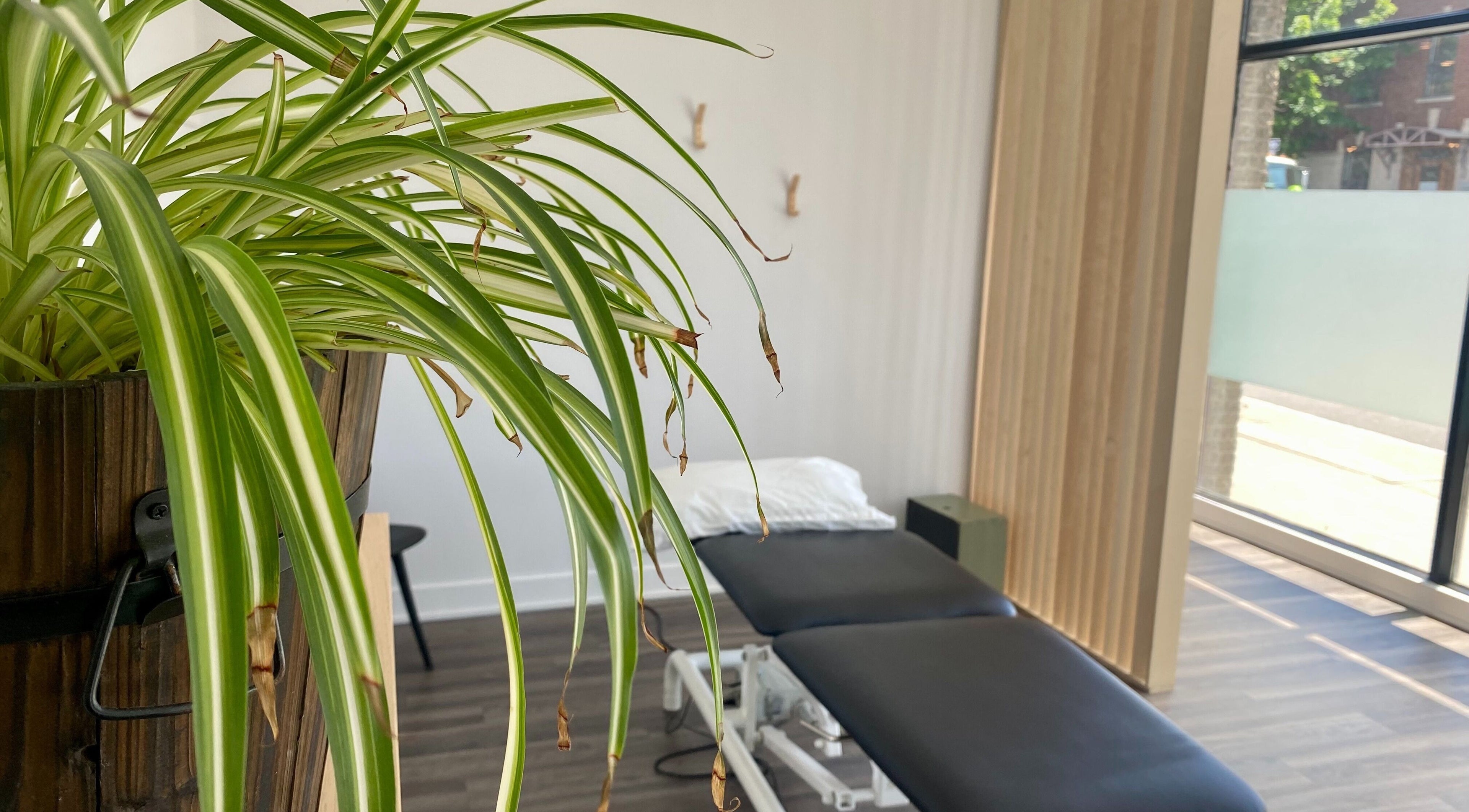 Salle de traitement lumineuse chez Physioactif Ahuntsic à Montréal, Québec, CA avec plante verte apaisante.