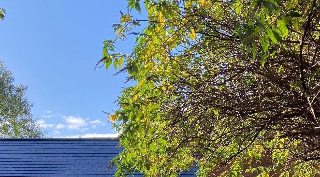 Lush greenery surrounds Jess Clark Yoga Massage at Hitchin, England, GB, with a clear blue sky overhead.