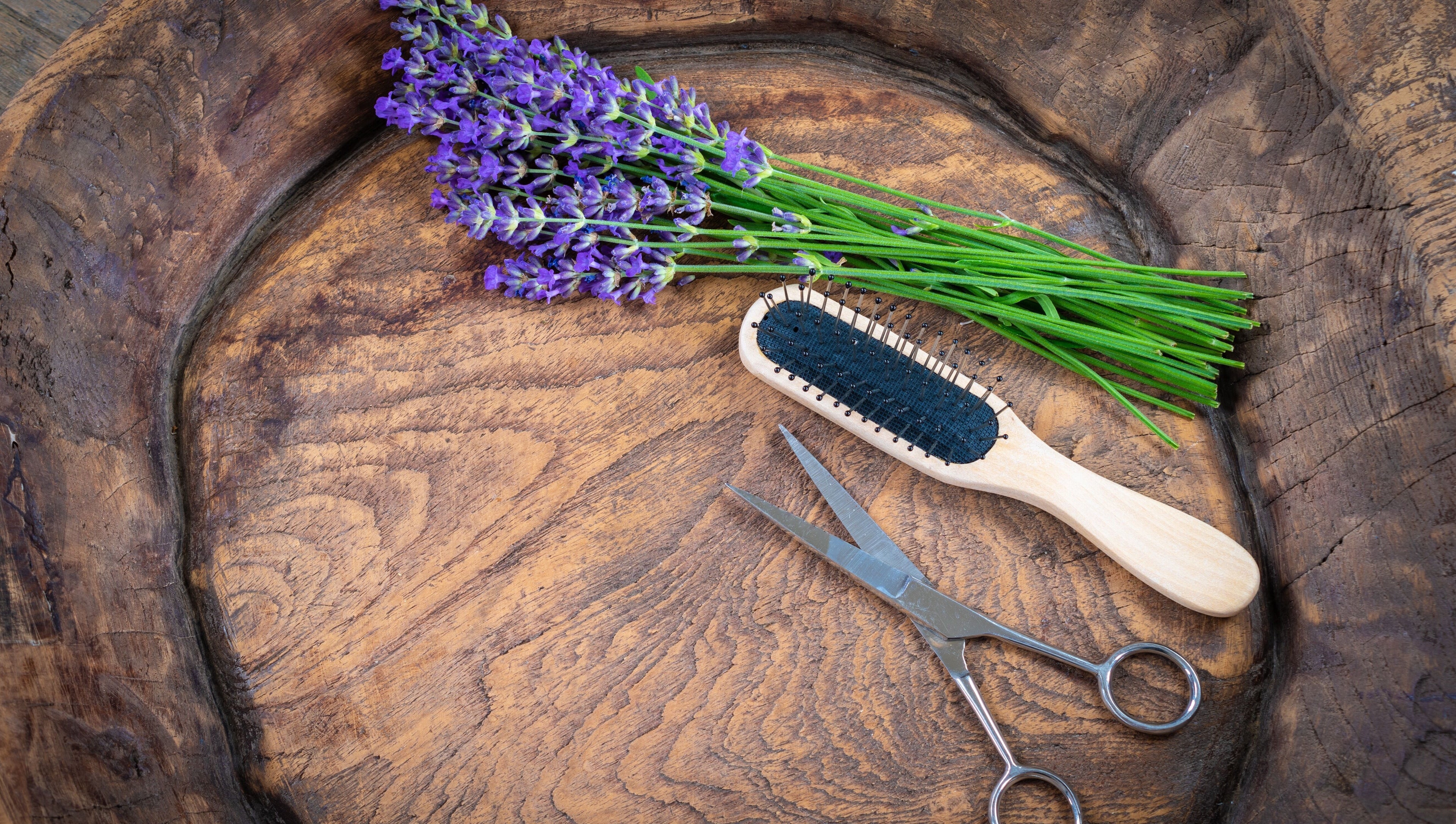 Lavender, brush, and scissors on wood at Aloona Studio in Byron Bay, New South Wales, AU.