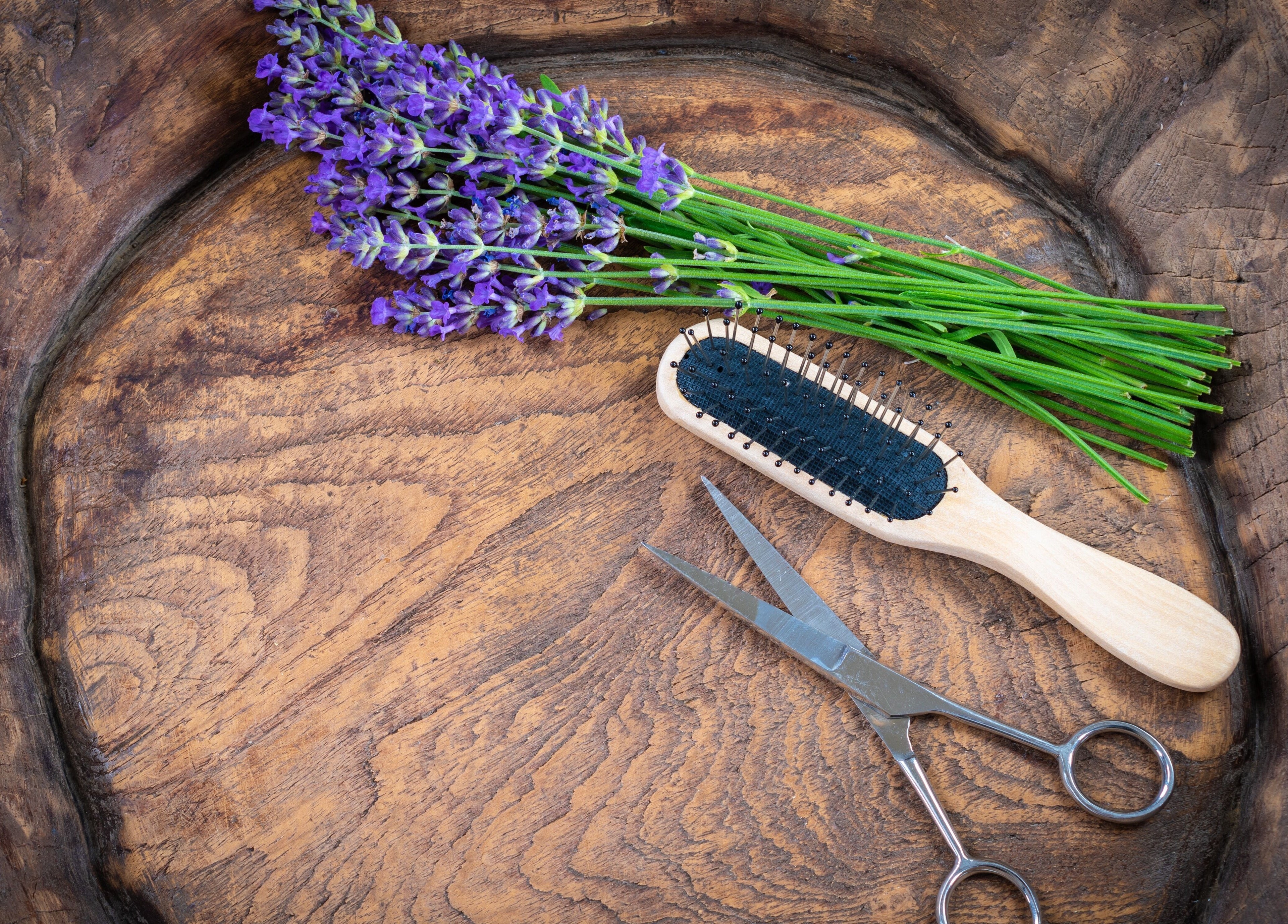 Lavender, brush, and scissors on wood at Aloona Studio in Byron Bay, New South Wales, AU.