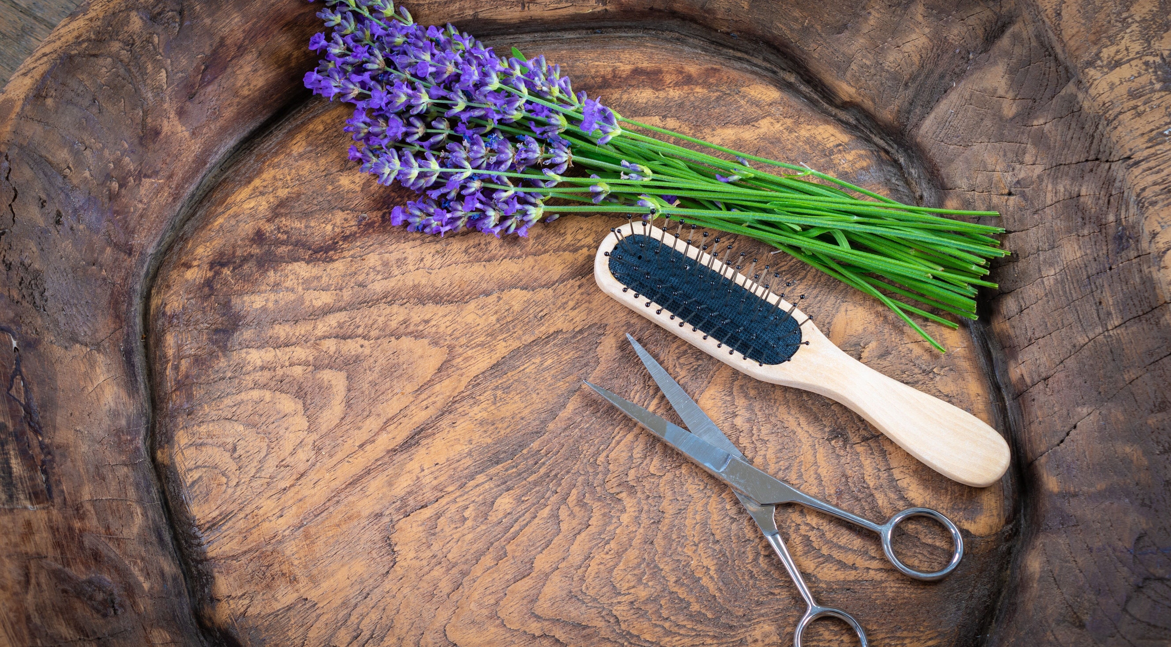Lavender, brush, and scissors on wood at Aloona Studio in Byron Bay, New South Wales, AU.