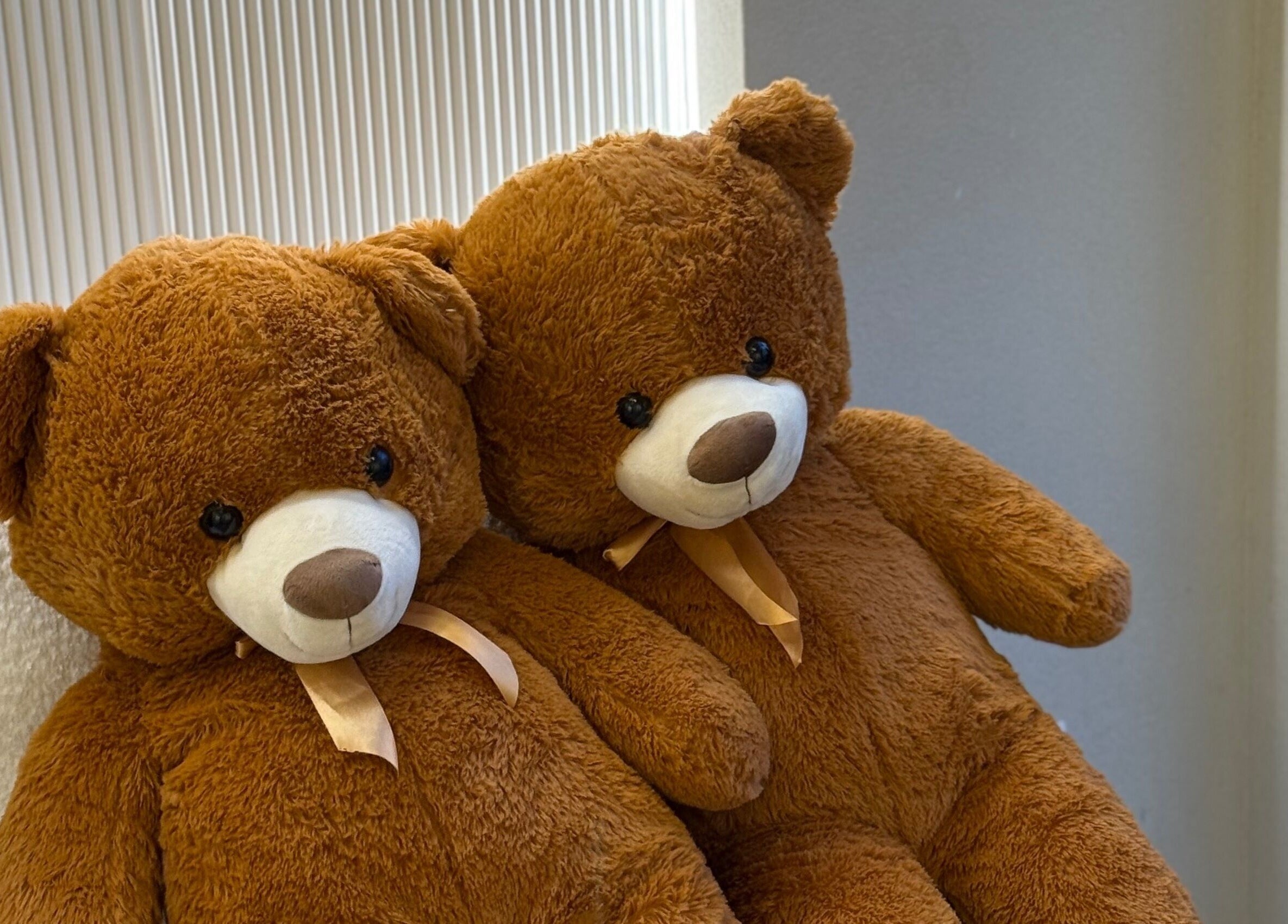 Δύο λούτρινα αρκουδάκια στην είσοδο του BROWINA στην Αχαρνές, GR προσφέρουν ζεστασιά και χαλάρωση.