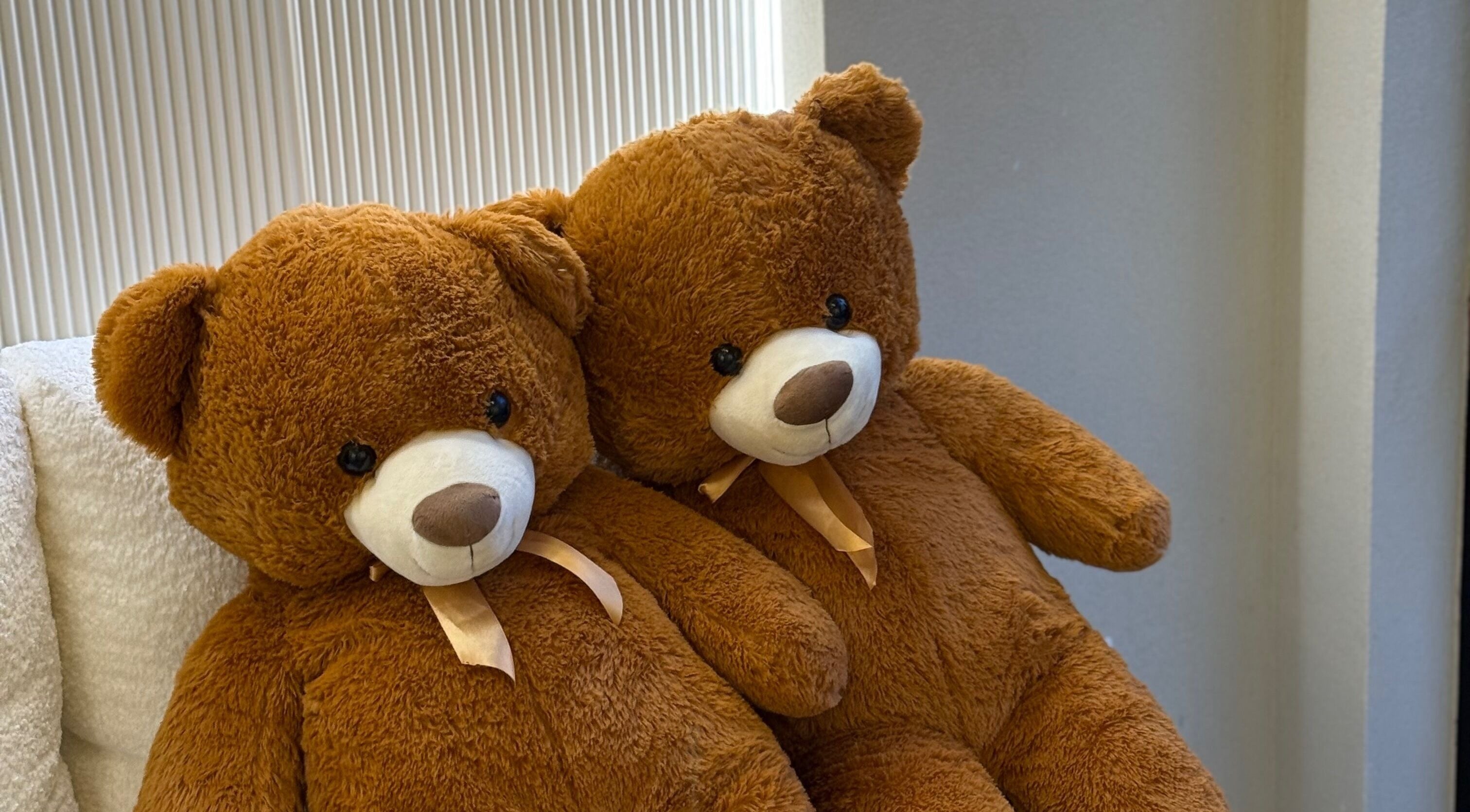 Δύο λούτρινα αρκουδάκια στην είσοδο του BROWINA στην Αχαρνές, GR προσφέρουν ζεστασιά και χαλάρωση.