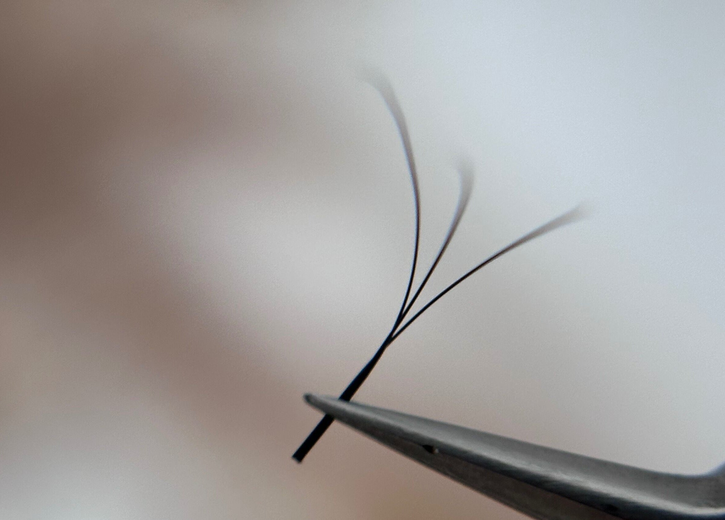 Extensions de cils à Jeanne, Amiens, Hauts-de-France, FR, illustrant la précision de la pose.