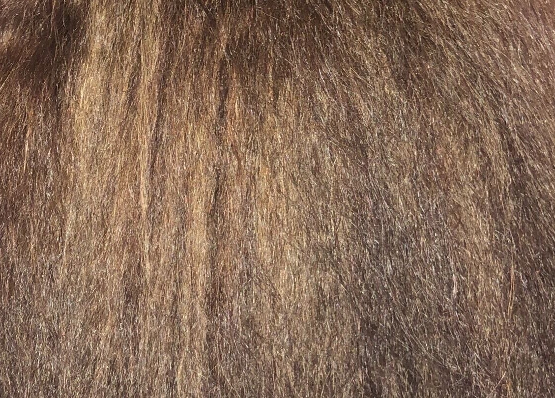 Beautifully colored hair at VIP Beauty Studio, Sherwood Park, Alberta, CA, showcasing stunning texture and shine.