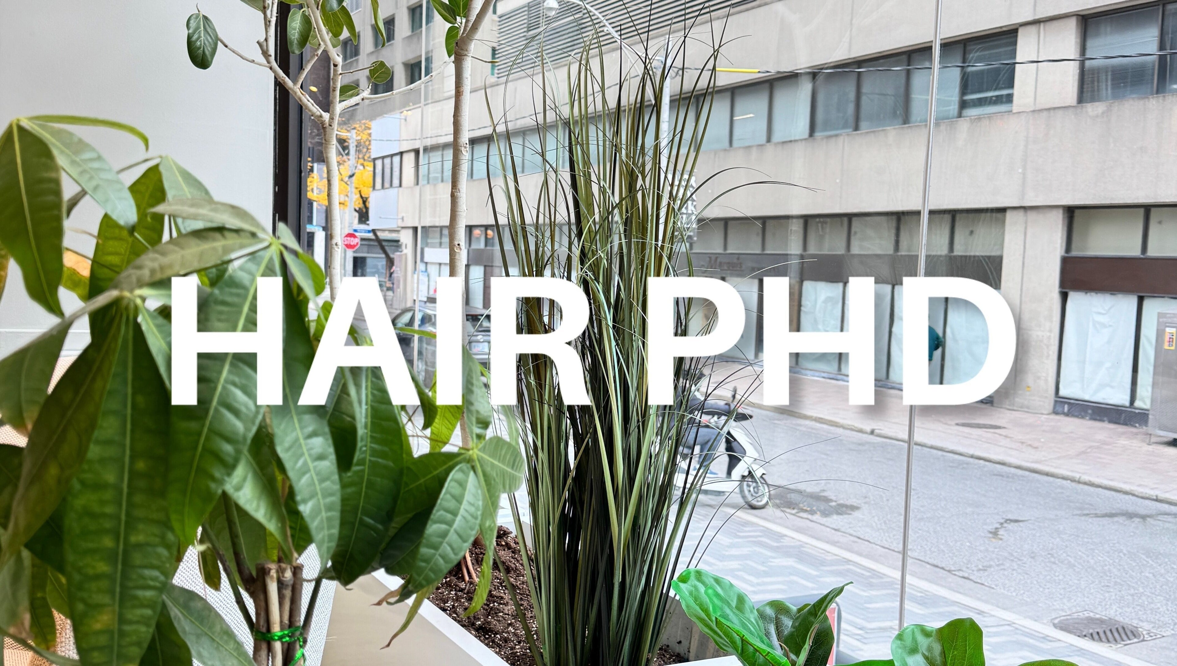 Lush plants adorn the window of HAIR PHD in Toronto, Ontario, CA, offering a serene urban view.