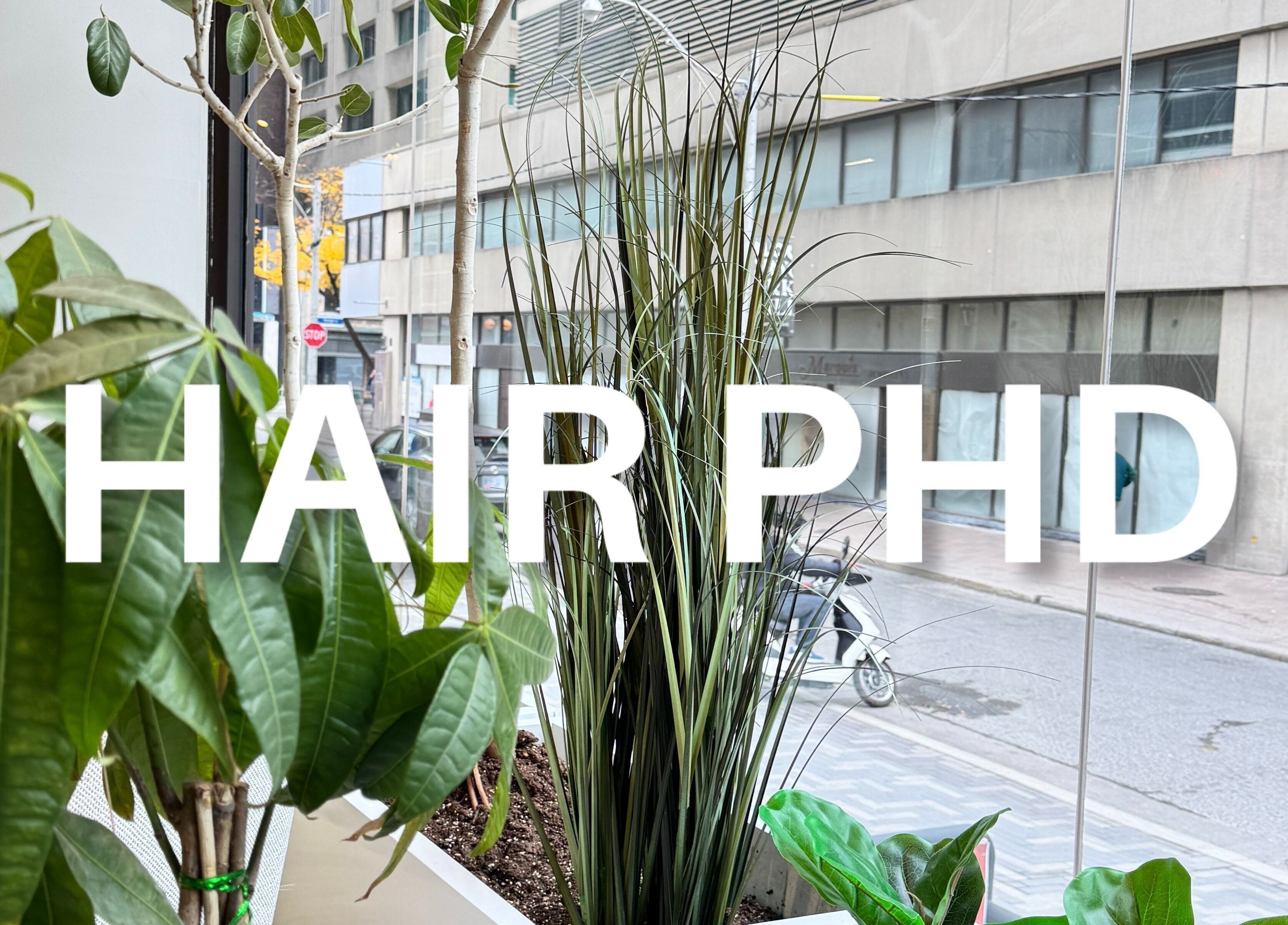 Lush plants adorn the window of HAIR PHD in Toronto, Ontario, CA, offering a serene urban view.