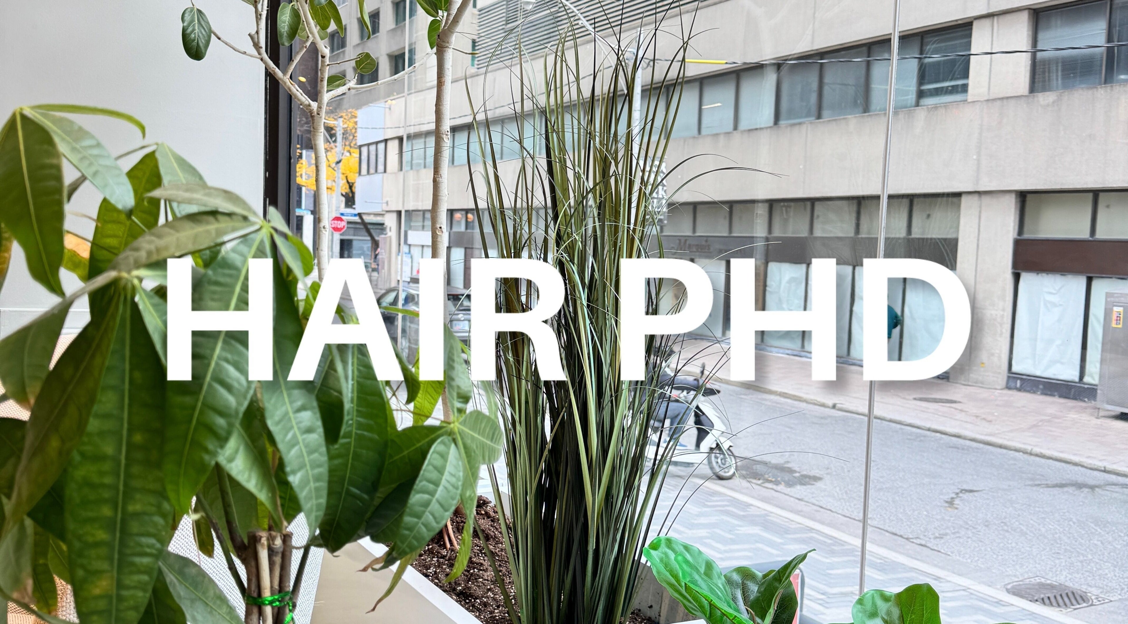 Lush plants adorn the window of HAIR PHD in Toronto, Ontario, CA, offering a serene urban view.