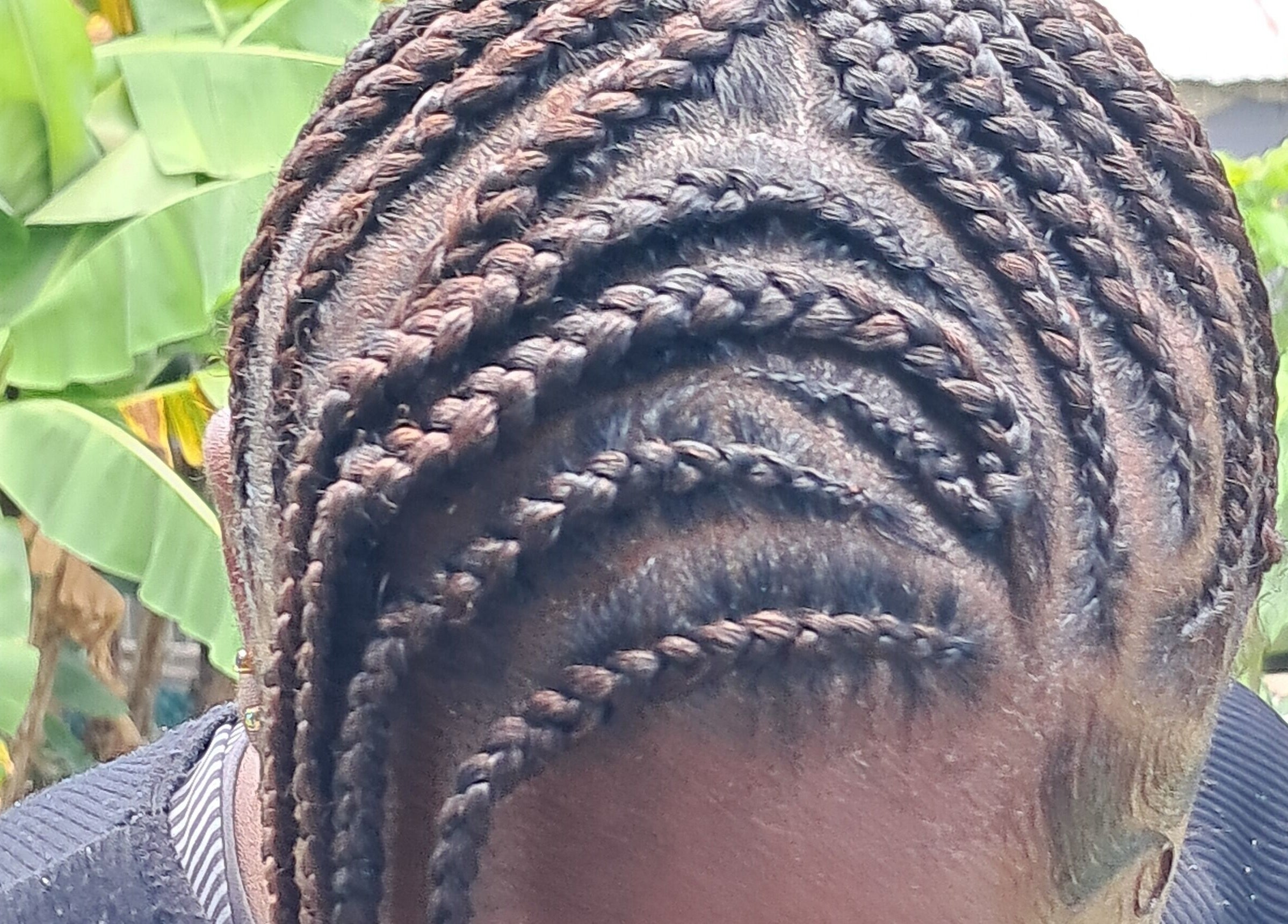 Intricate braids styled at The Naï Effect, Saint Thomas, BB, showcasing fine craftsmanship in natural setting.