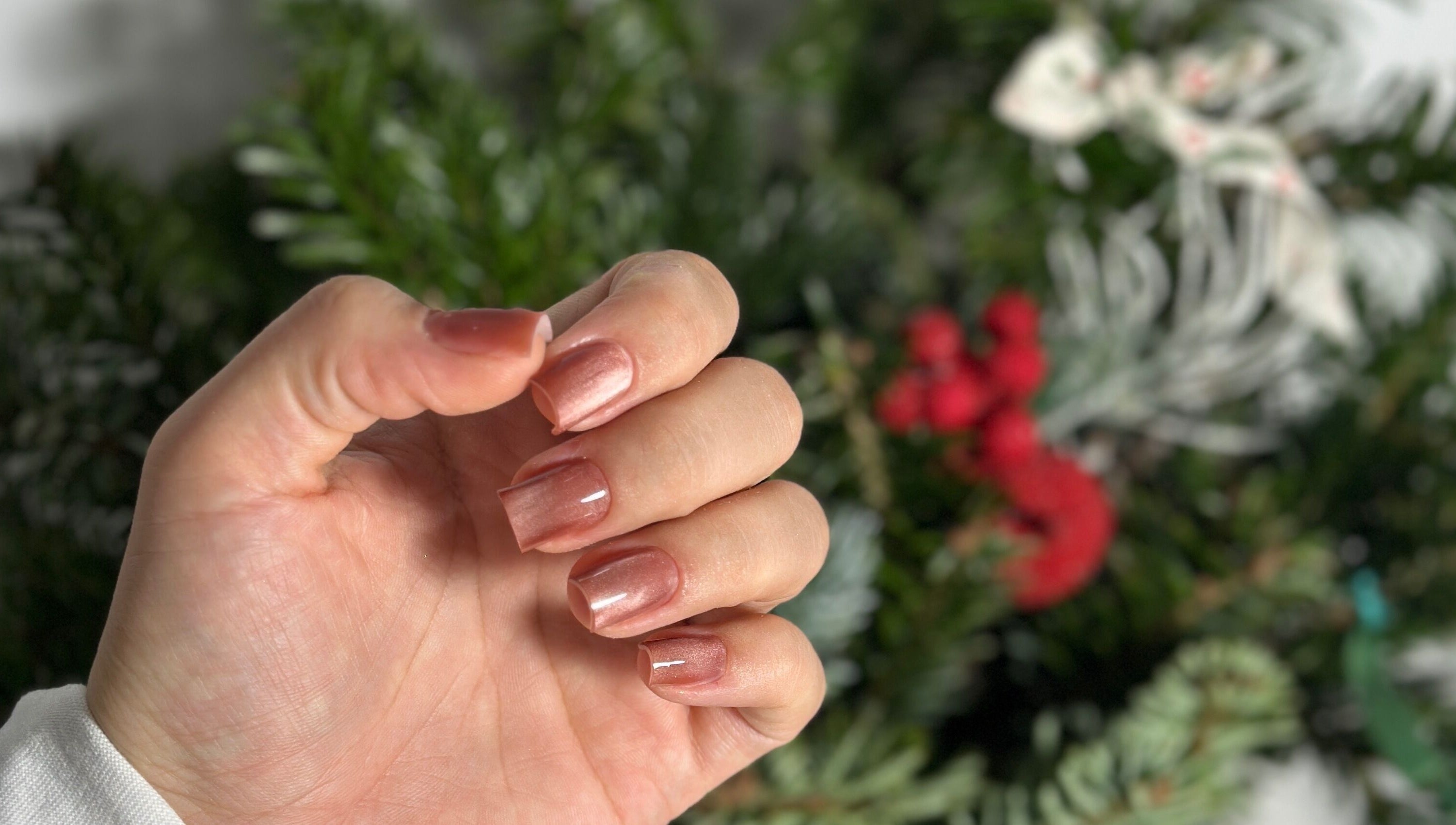 Рожева манікюра в Mariana Kurtash, Warszawa, Województwo Mazowieckie, PL на тлі зелених ялинкових гілок.