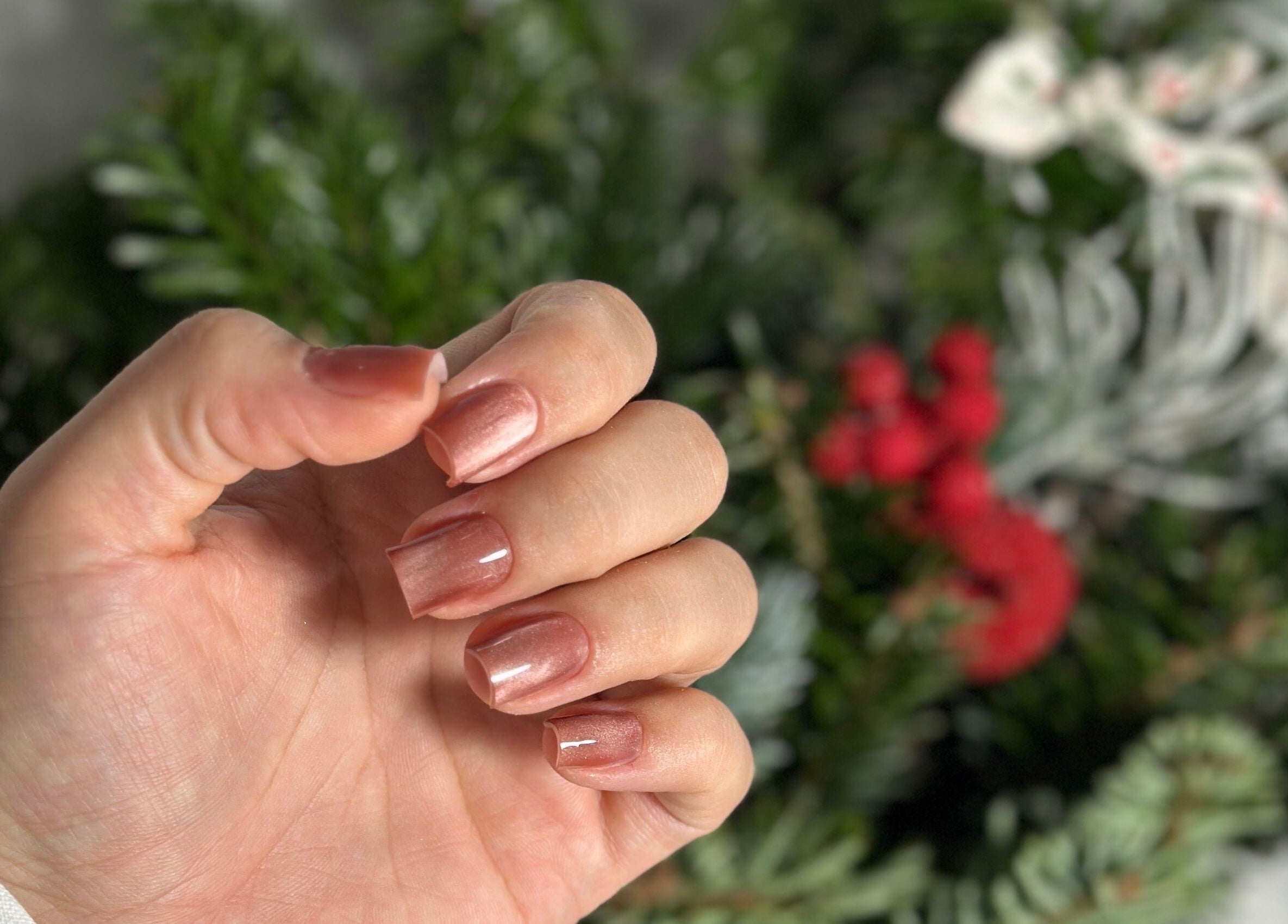 Рожева манікюра в Mariana Kurtash, Warszawa, Województwo Mazowieckie, PL на тлі зелених ялинкових гілок.