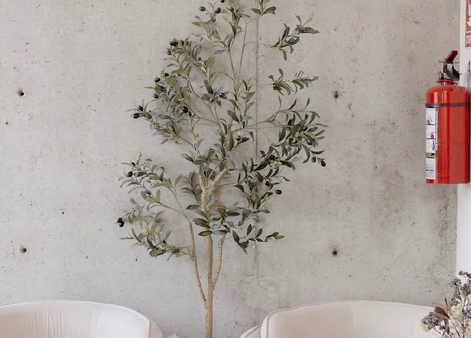 Stylish interior of Beauty Art. Studio in Tijuana, Baja California, MX featuring chic chairs and decor.