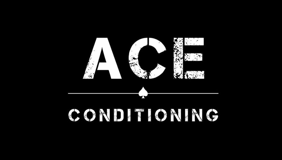Impact Sports Rehabilitation Ace Conditioning, bild 1