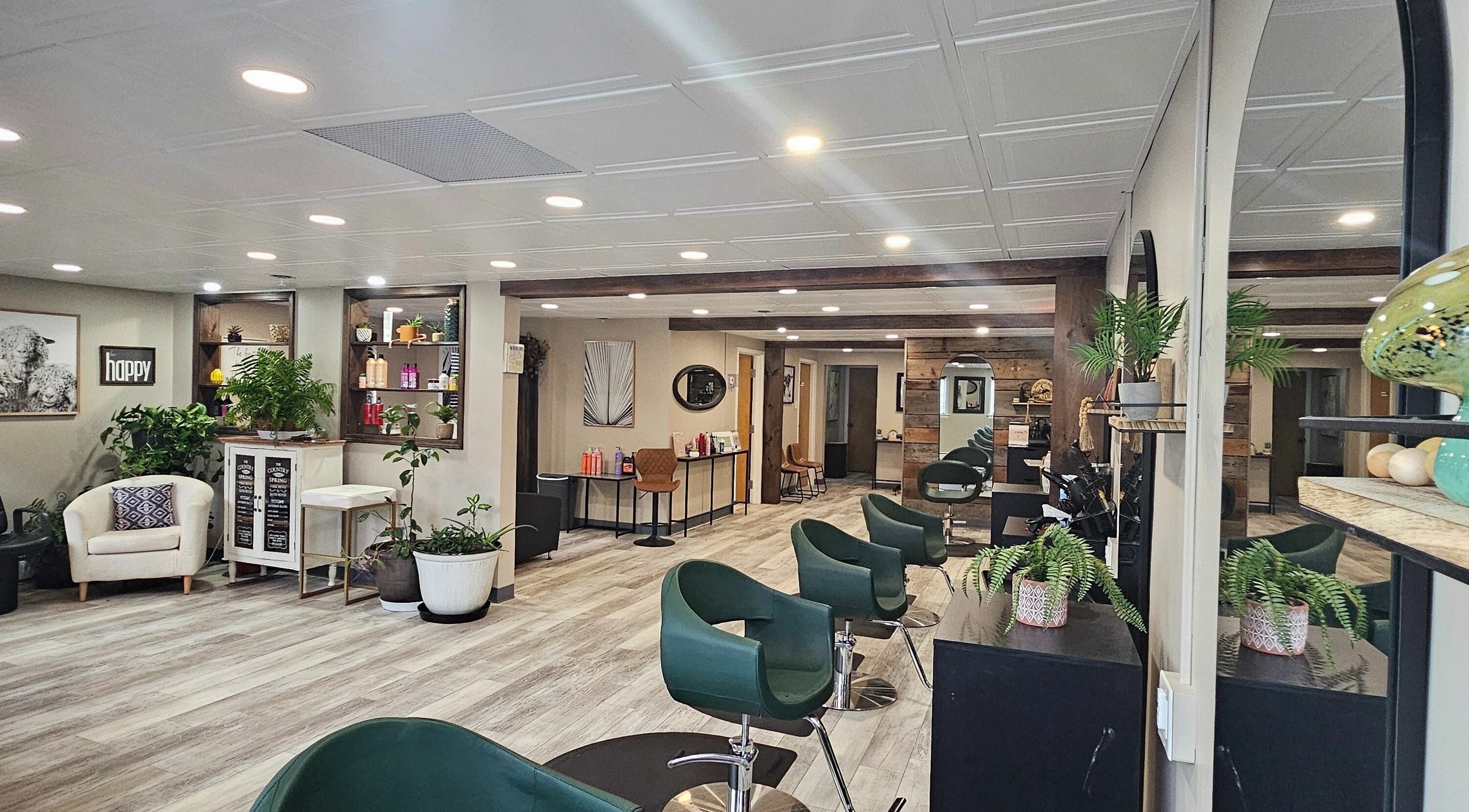 Interior of Studio 391 in Boston, New York, US featuring stylish salon chairs and lush plants.