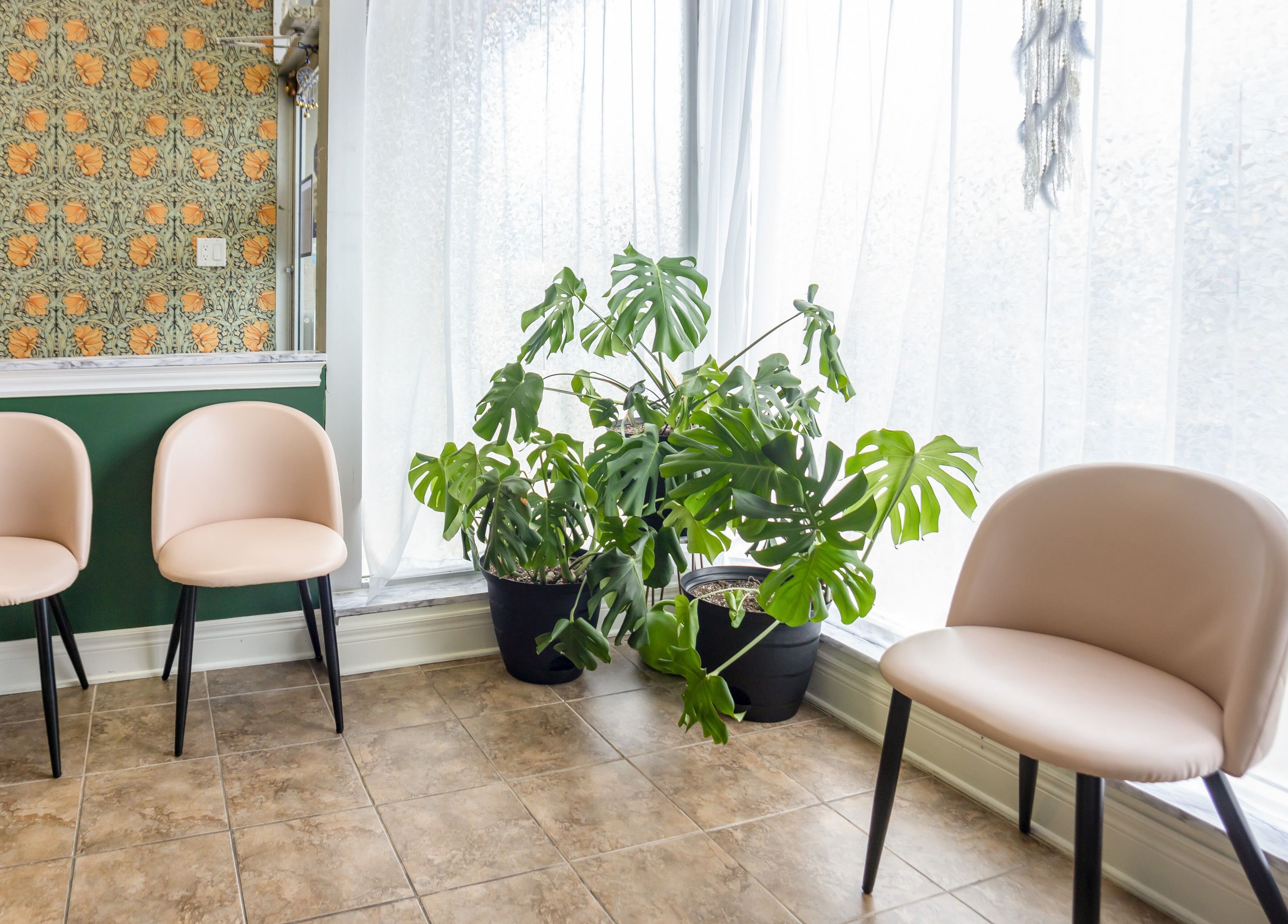 Inviting seating area at The Pampered Peach, Thorold, Ontario, CA with stylish chairs and lush plants.