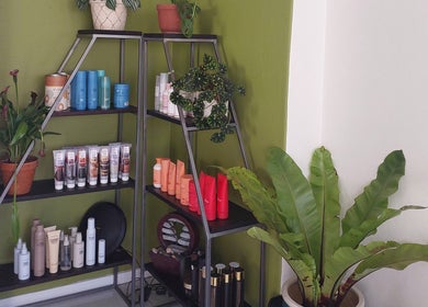 Beauty products shelf at Hair By Amanda, Sandton, Gauteng, ZA with lush plants and vibrant packaging.