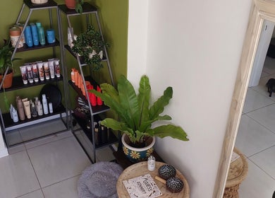 Product display and decor at Hair By Amanda in Sandton, Gauteng, ZA showcasing beauty products and greenery.