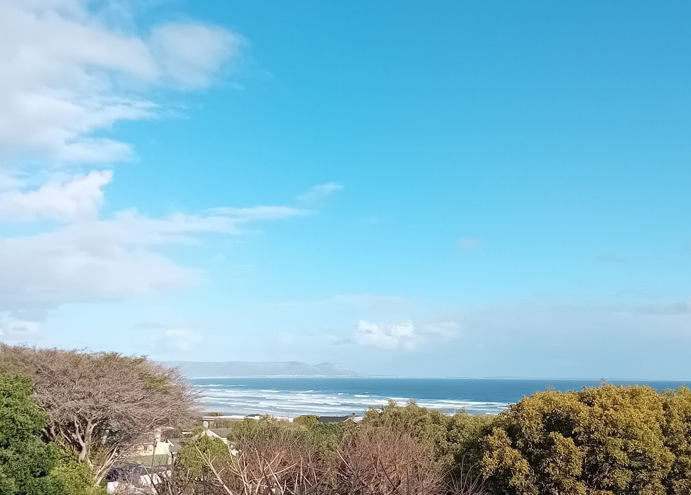 Breathtaking ocean view near Functional Movement in Hermanus, Western Cape, ZA with trees and clear skies.