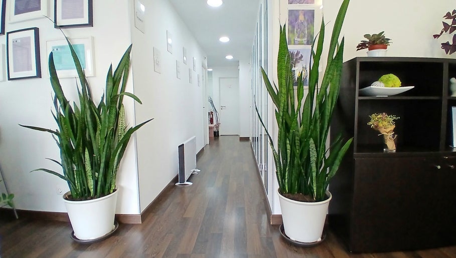 Corredor elegante em Rô Advanced, Amadora-Reboleira, Lisboa, PT, com plantas vibrantes e decoração moderna.