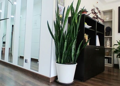 Interior moderno do Rô Advanced em Amadora-Reboleira, Lisboa, PT, com plantas e decoração minimalista.